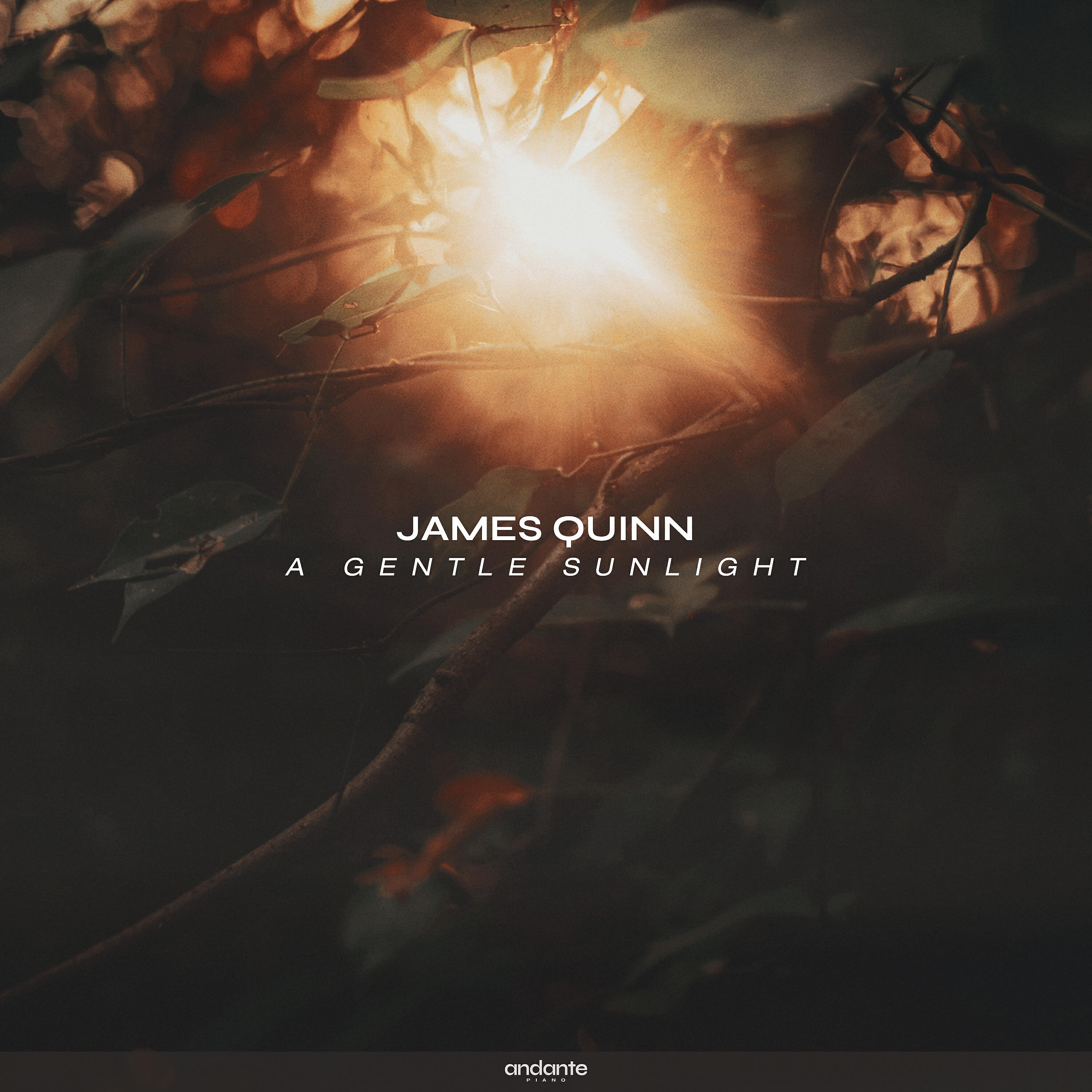 Релиз A Gentle Sunlight