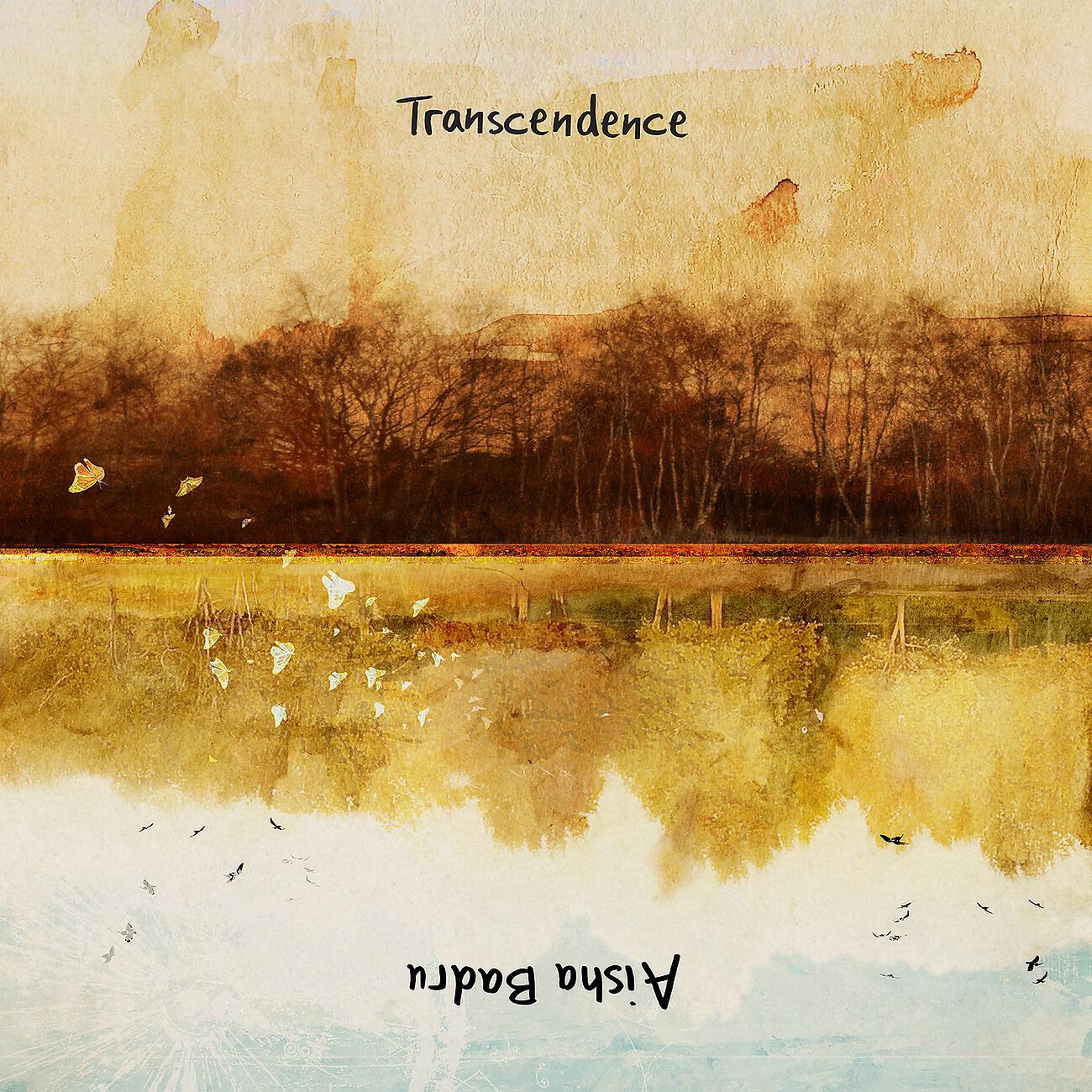 Релиз Transcendence