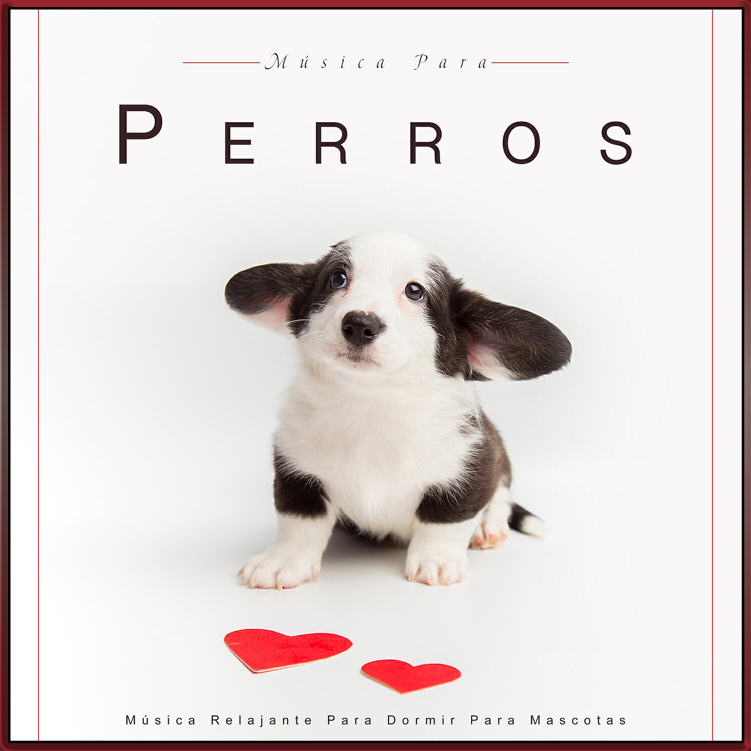 Música Para Dormir A Los Perros