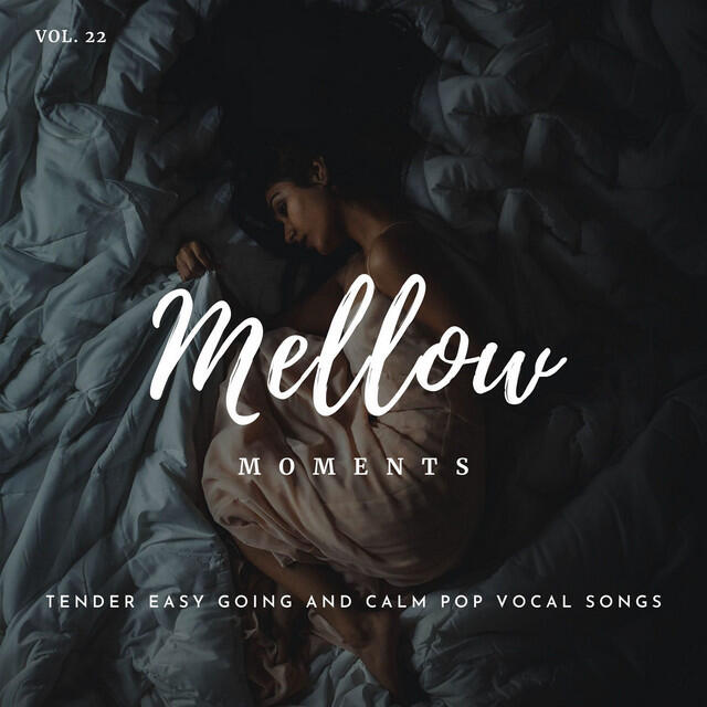 Релиз Mellow Moments - Tender Easy Going And Calm Pop Vocal Songs, Vol. 22