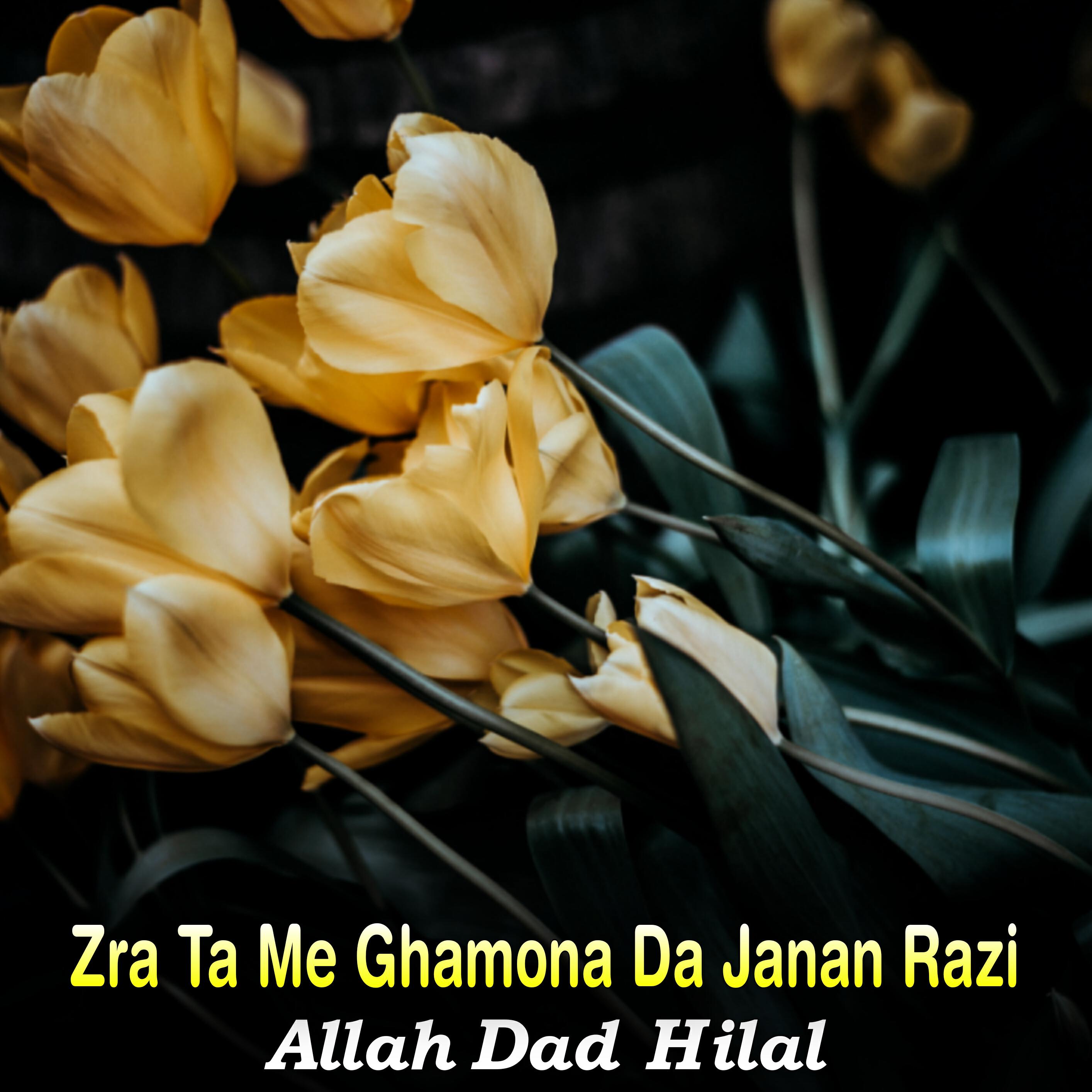 Релиз Zra Ta Me Ghamona Da Janan Razi