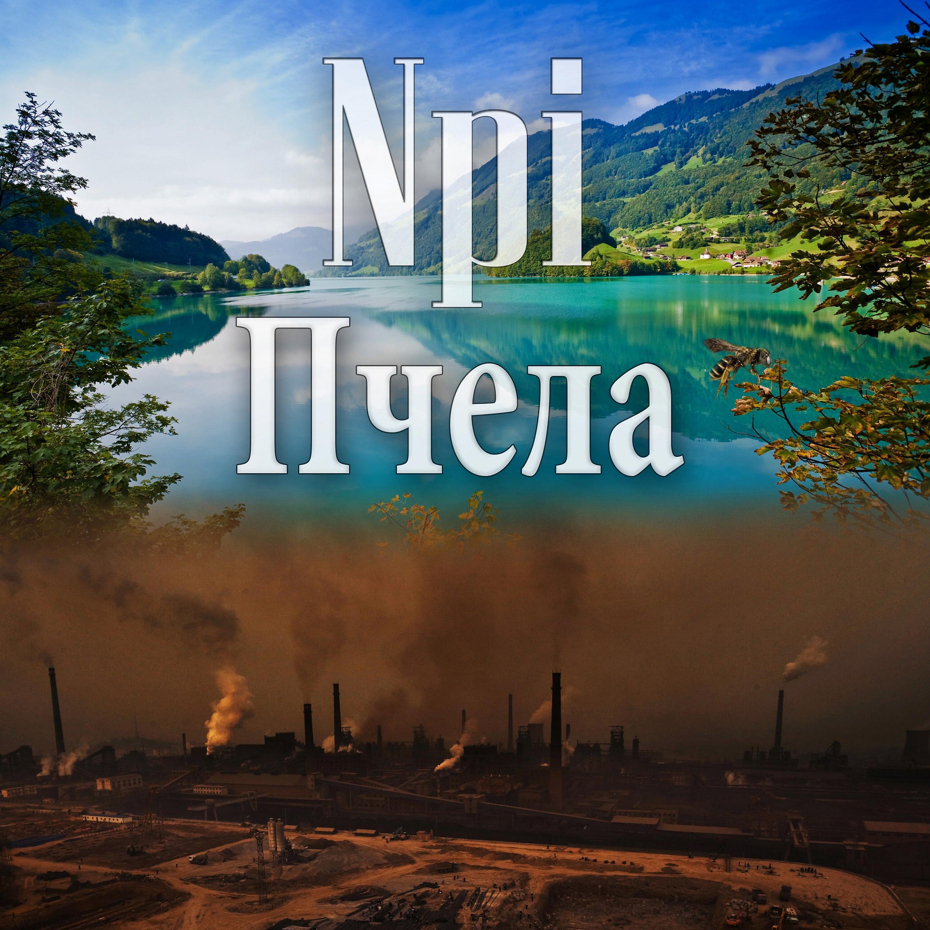 Релиз Пчела