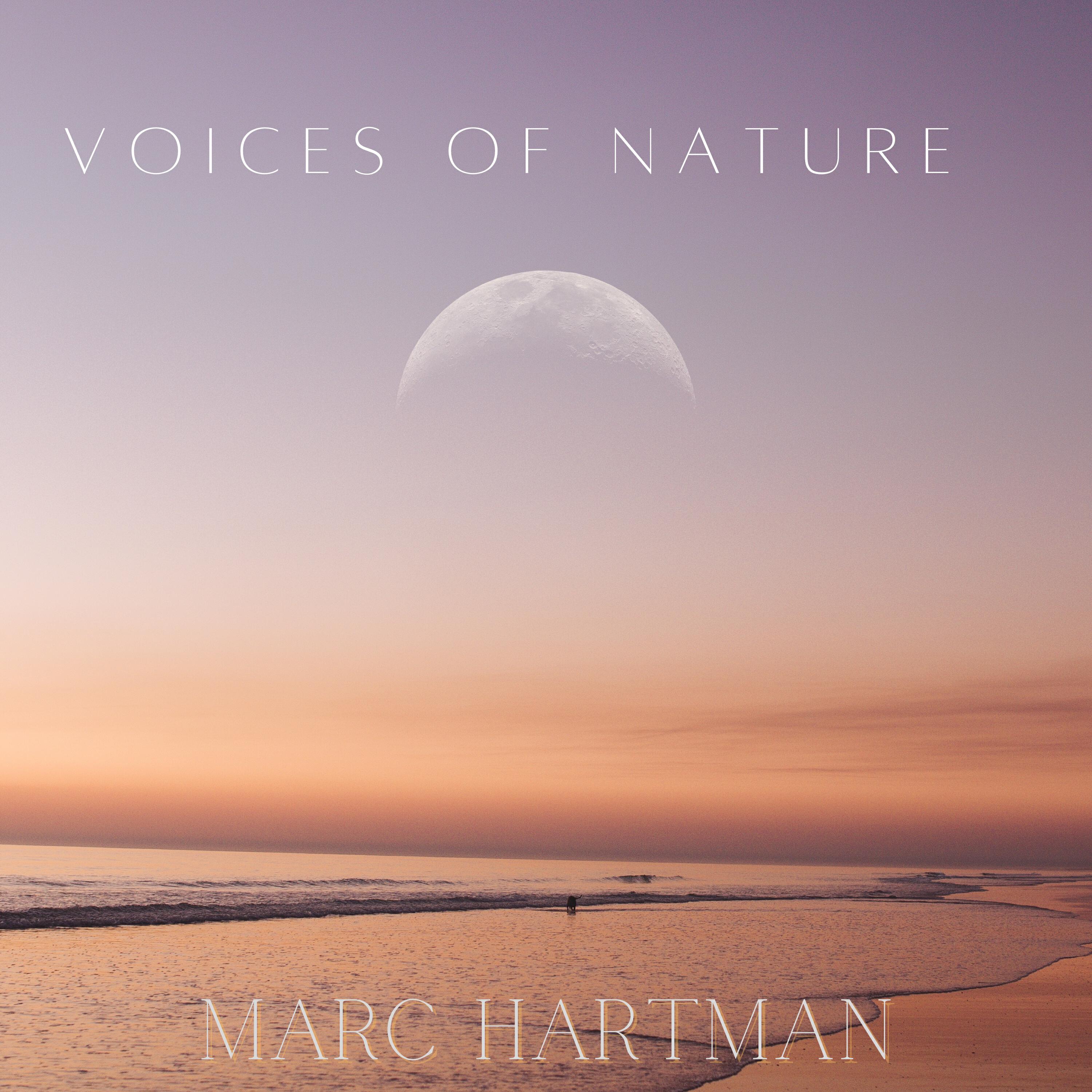 Релиз Voices Of Nature