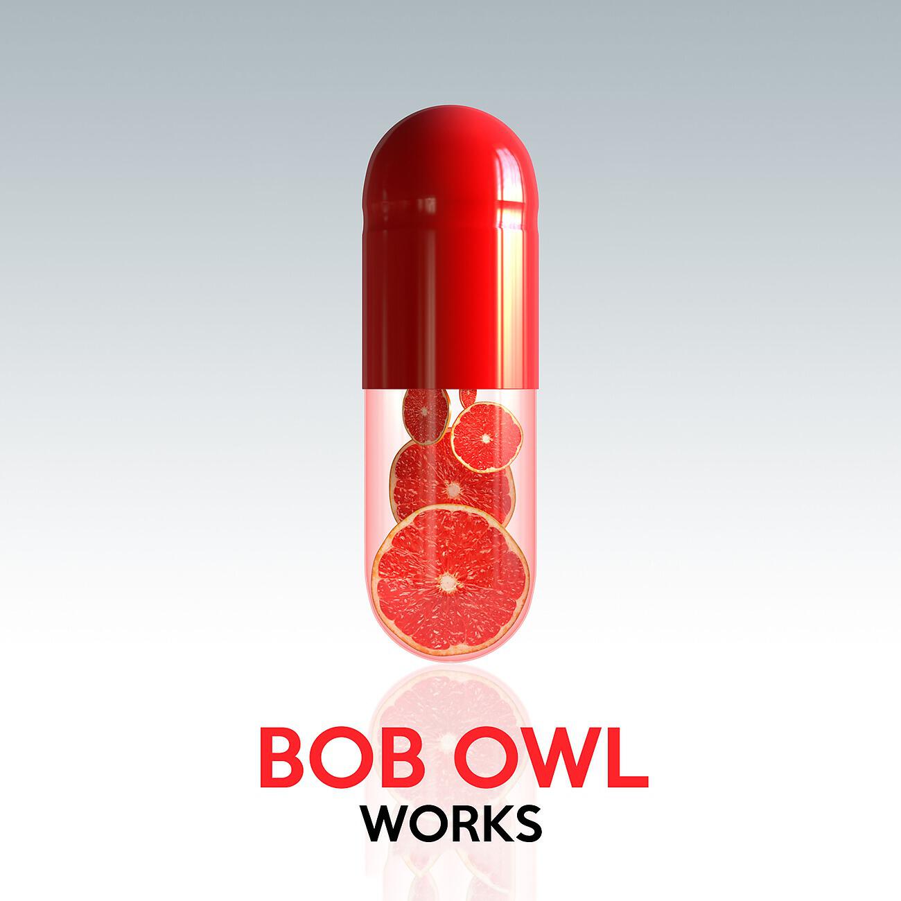 Релиз Bob Owl Works