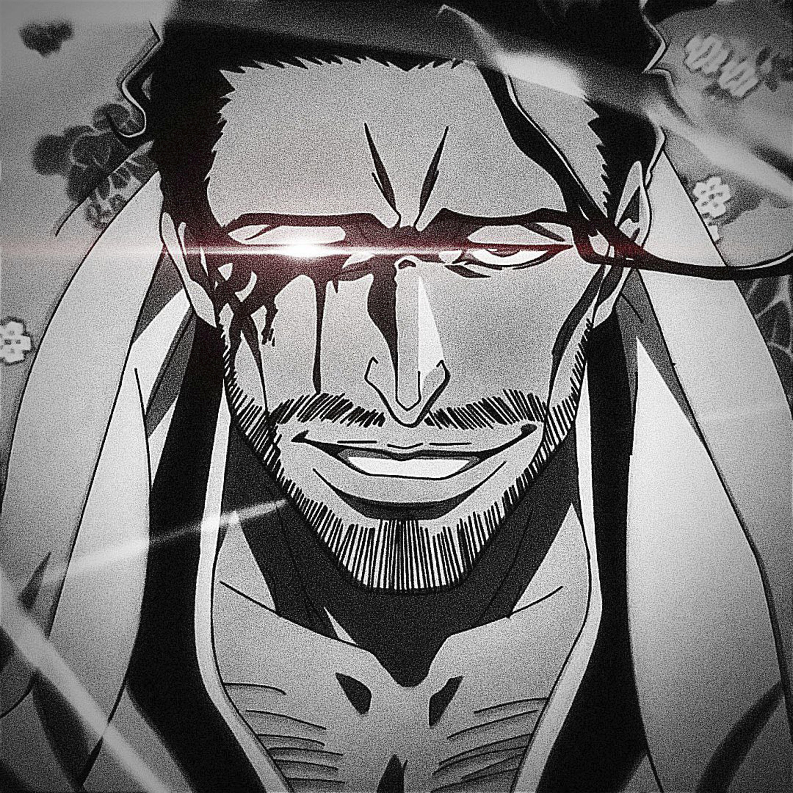 Релиз Shunsui