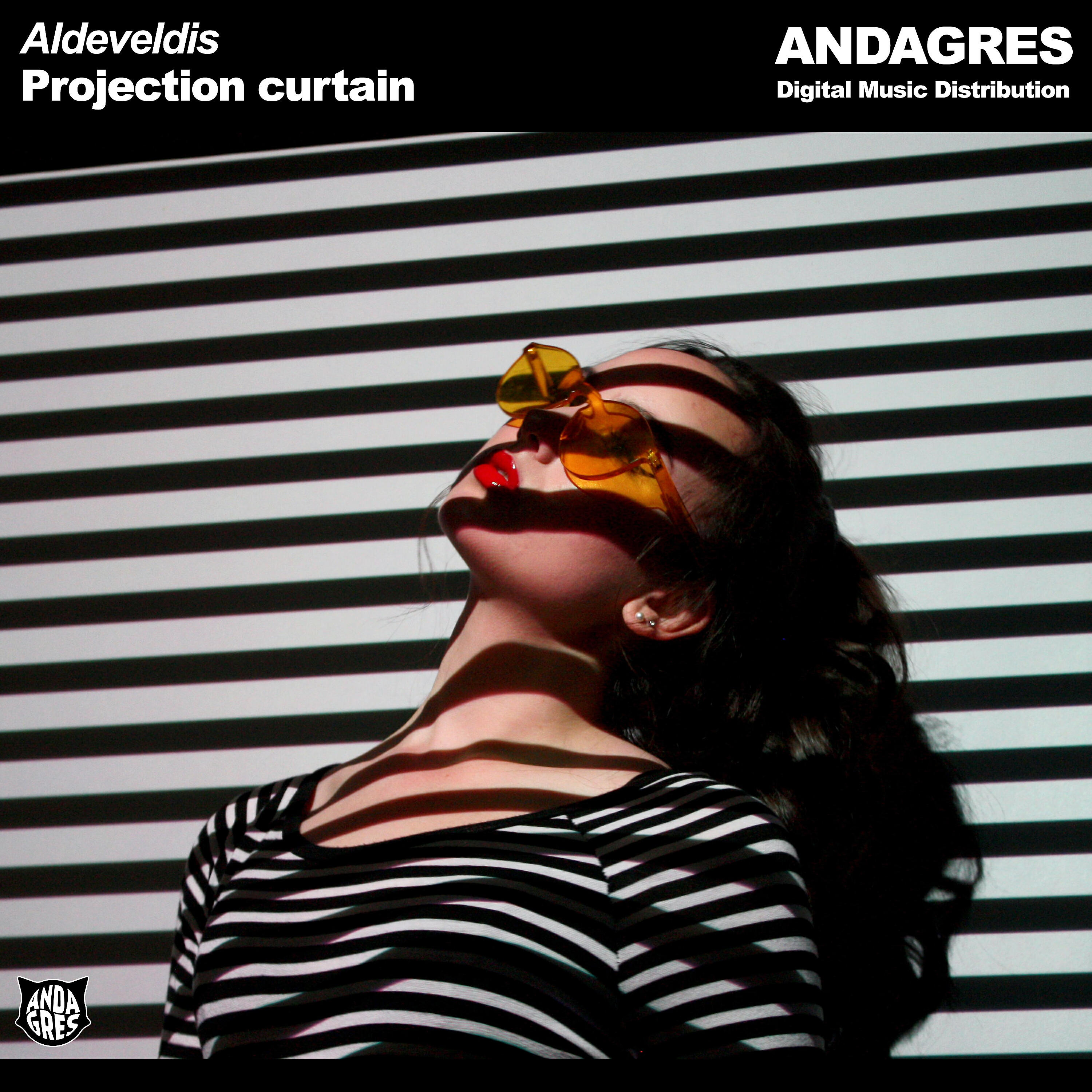 Релиз Projection curtain