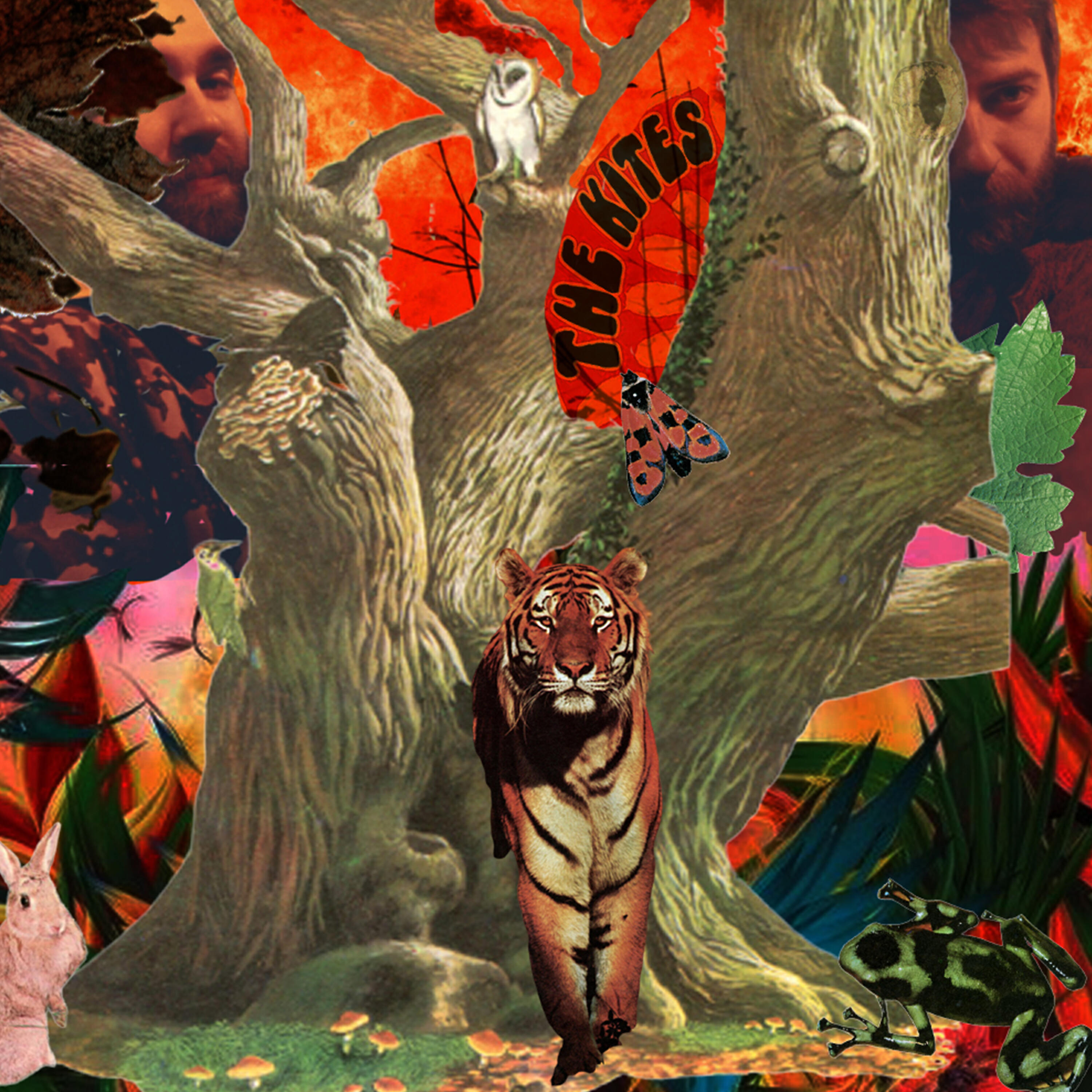 The Kites