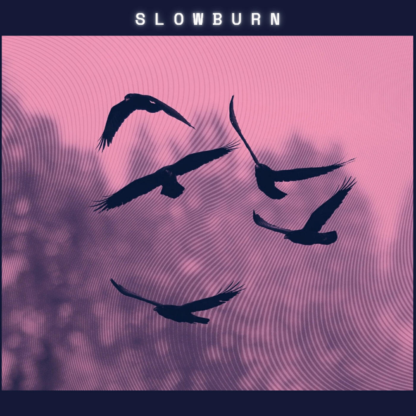 Релиз Dark Night