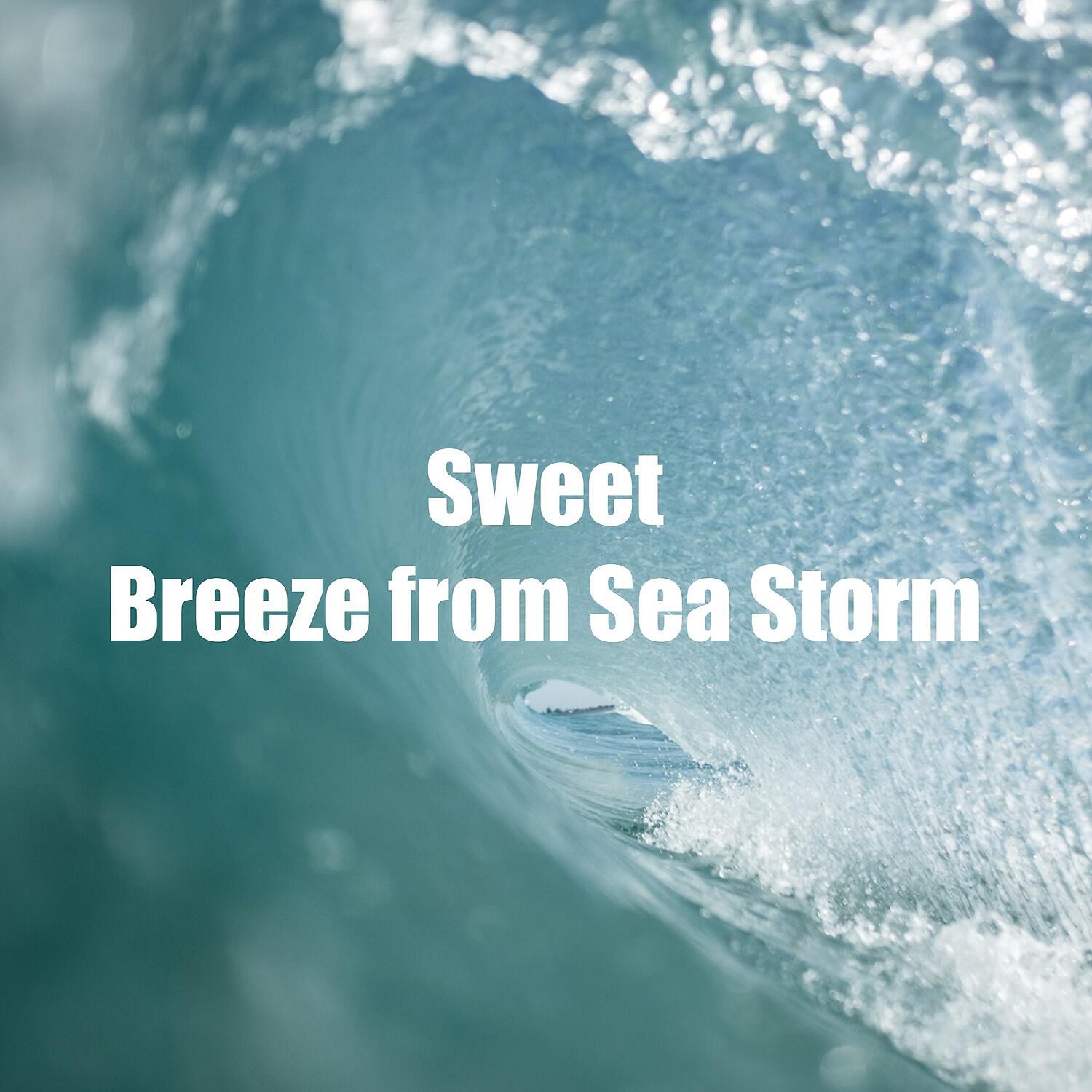 Релиз Sweet Breeze from Sea Storm