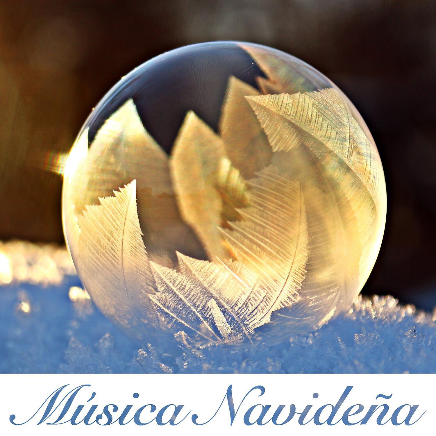 Релиз Música Navideña