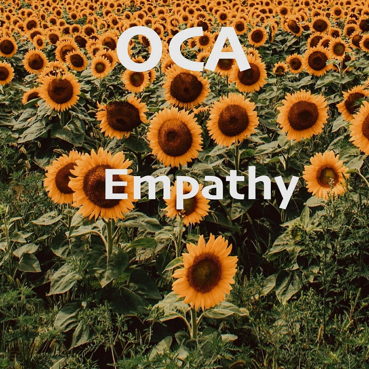 Релиз Empathy