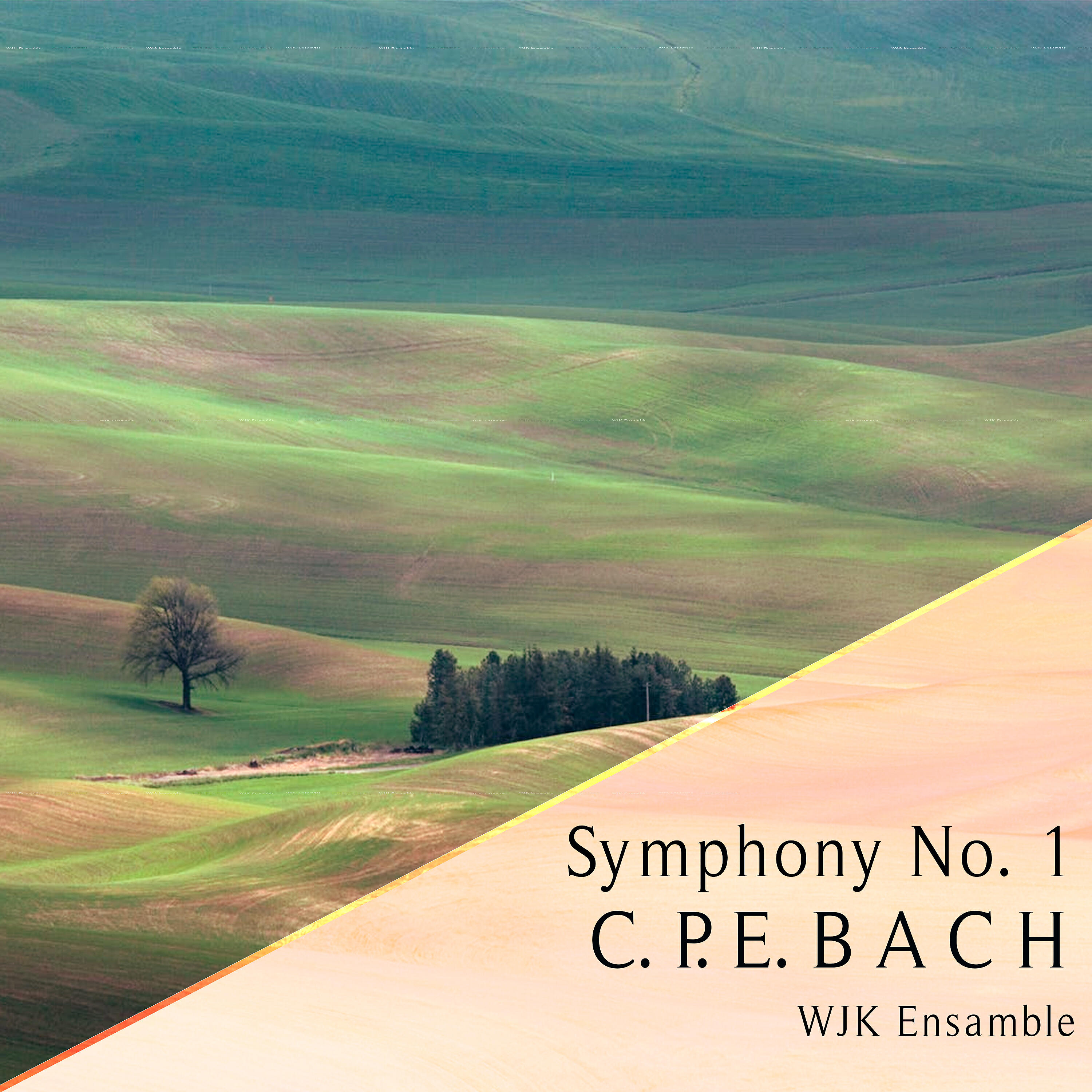 Релиз Symphony No. 1, C P e Bach