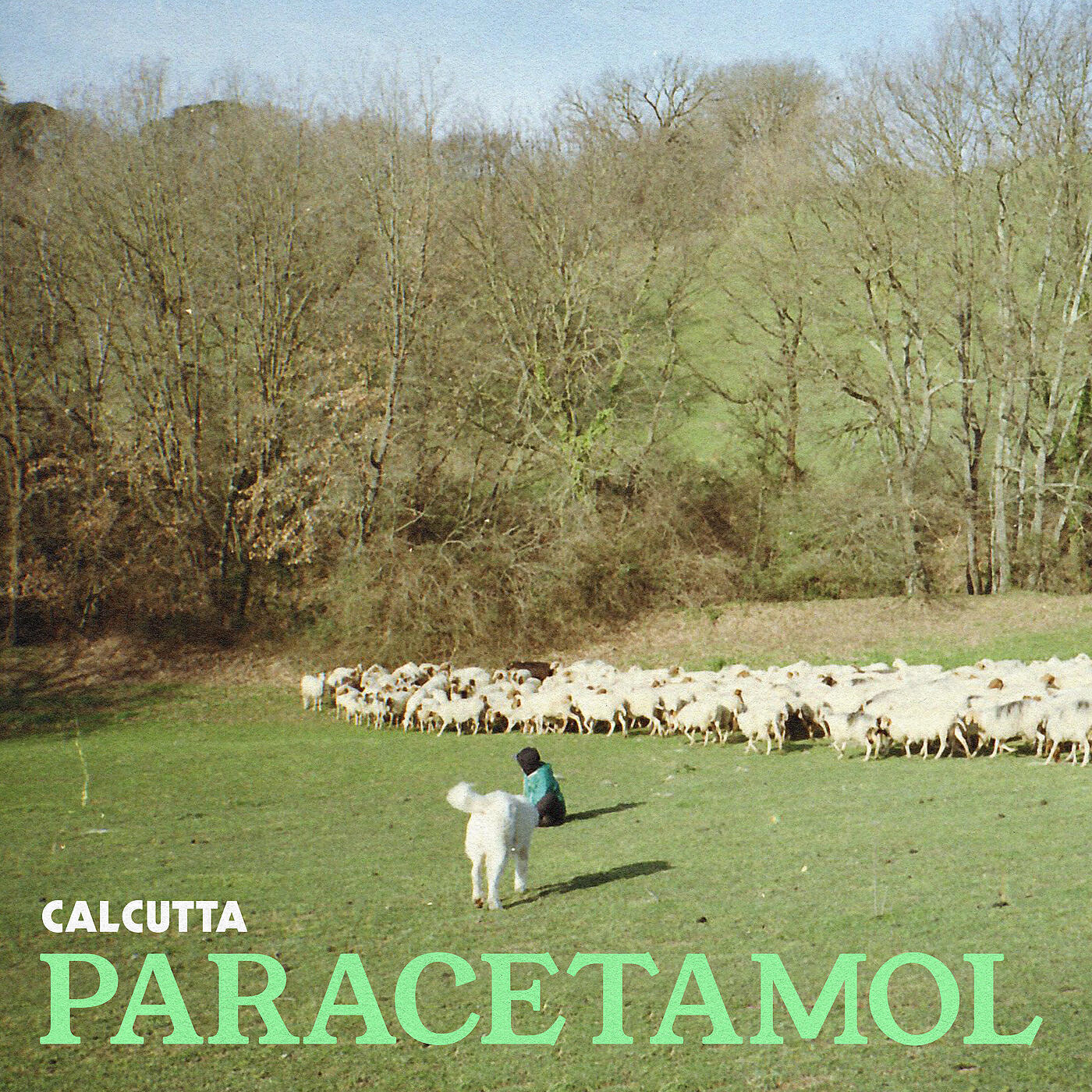 Релиз Paracetamol