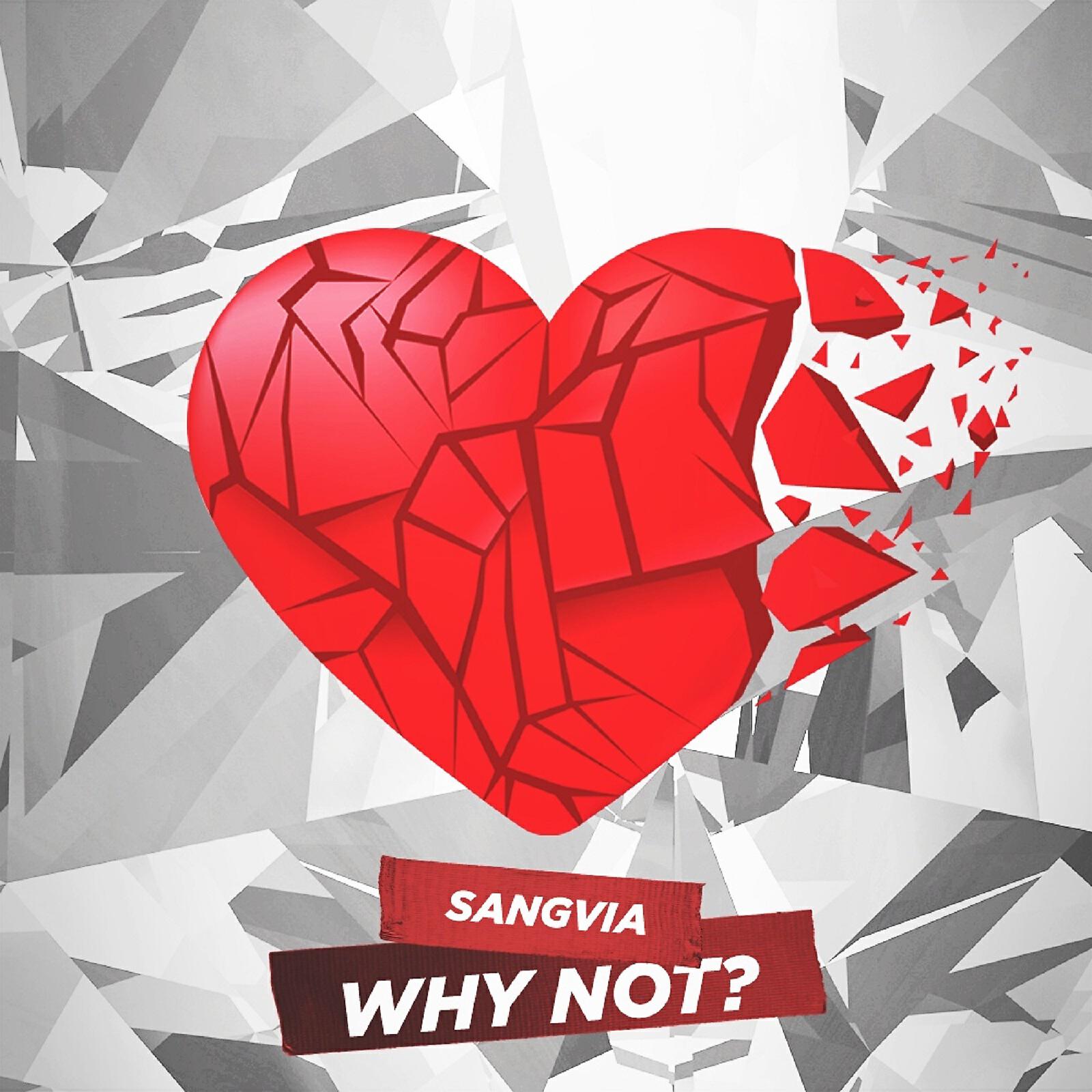 Релиз Why Not?