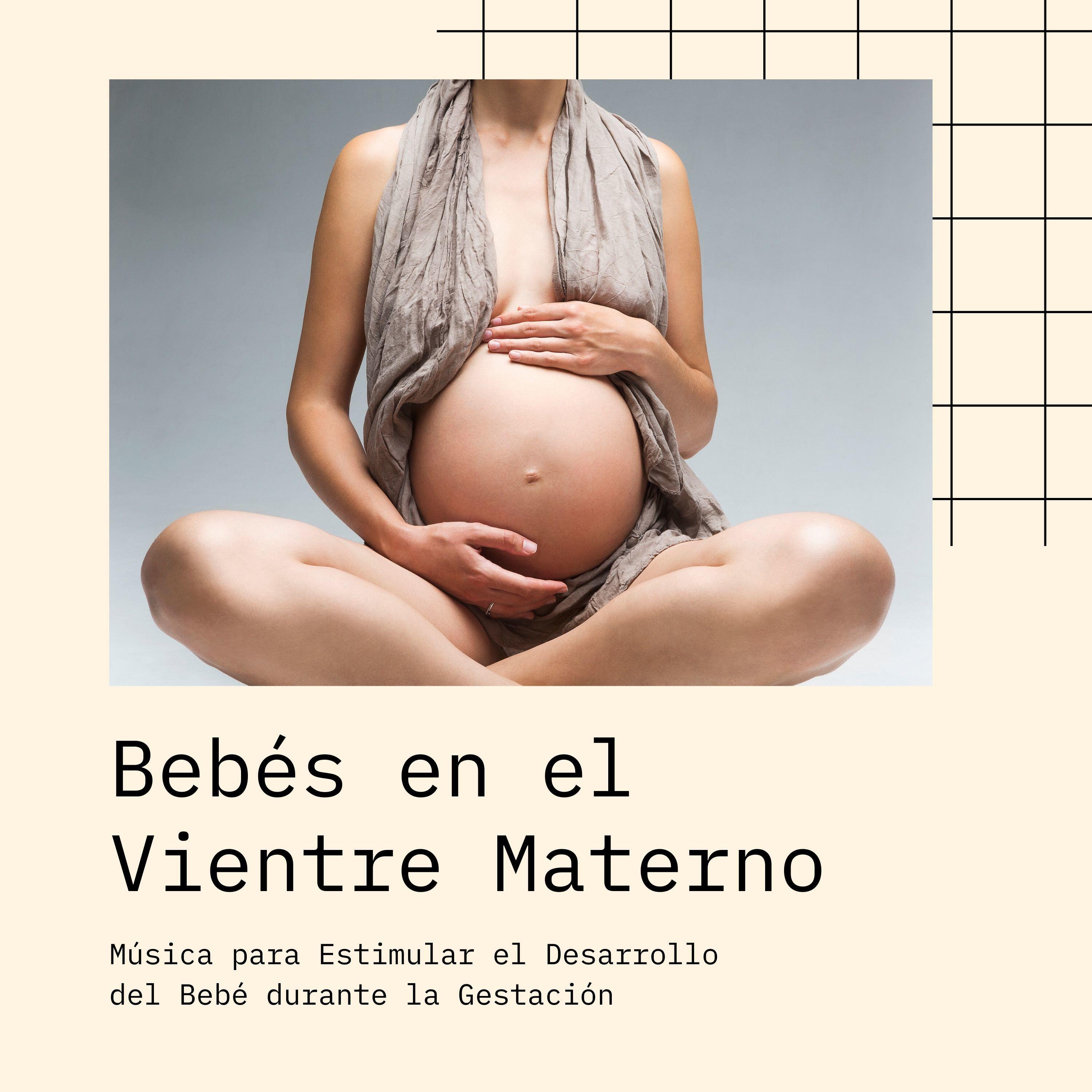 Релиз Bebés en el Vientre Materno: Música para Estimular el Desarrollo del Bebé durante la Gestación