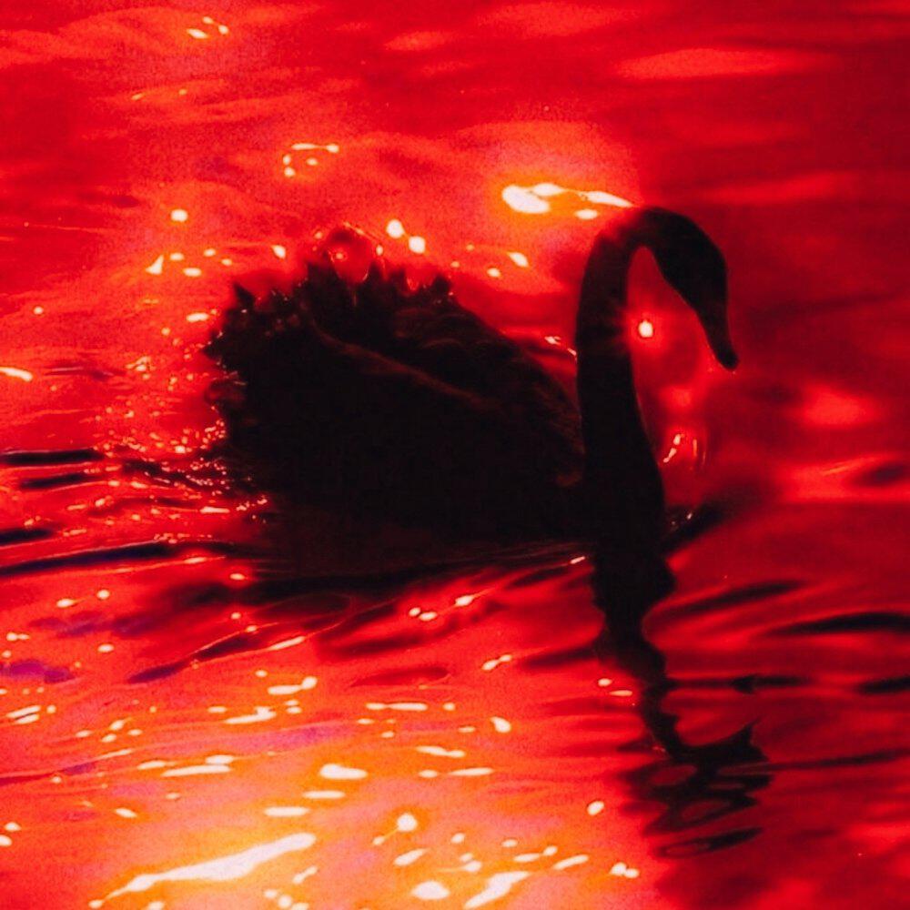 Релиз Red Moon (Alternate Version)