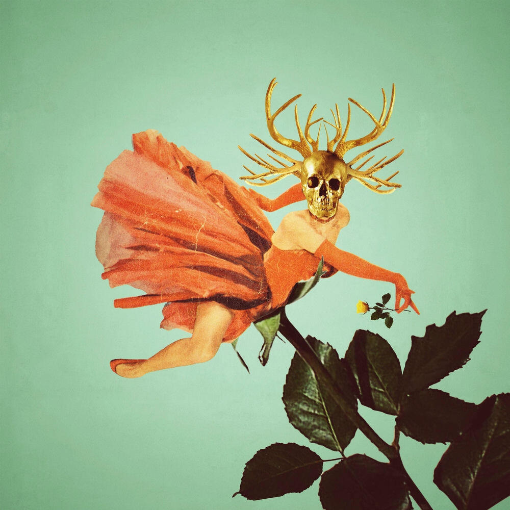Релиз Fell from Grace