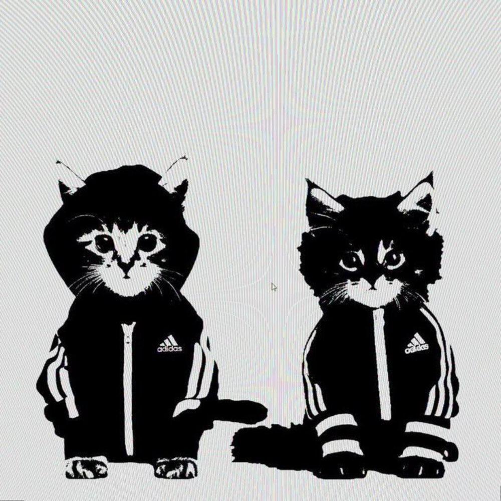 Релиз Twins