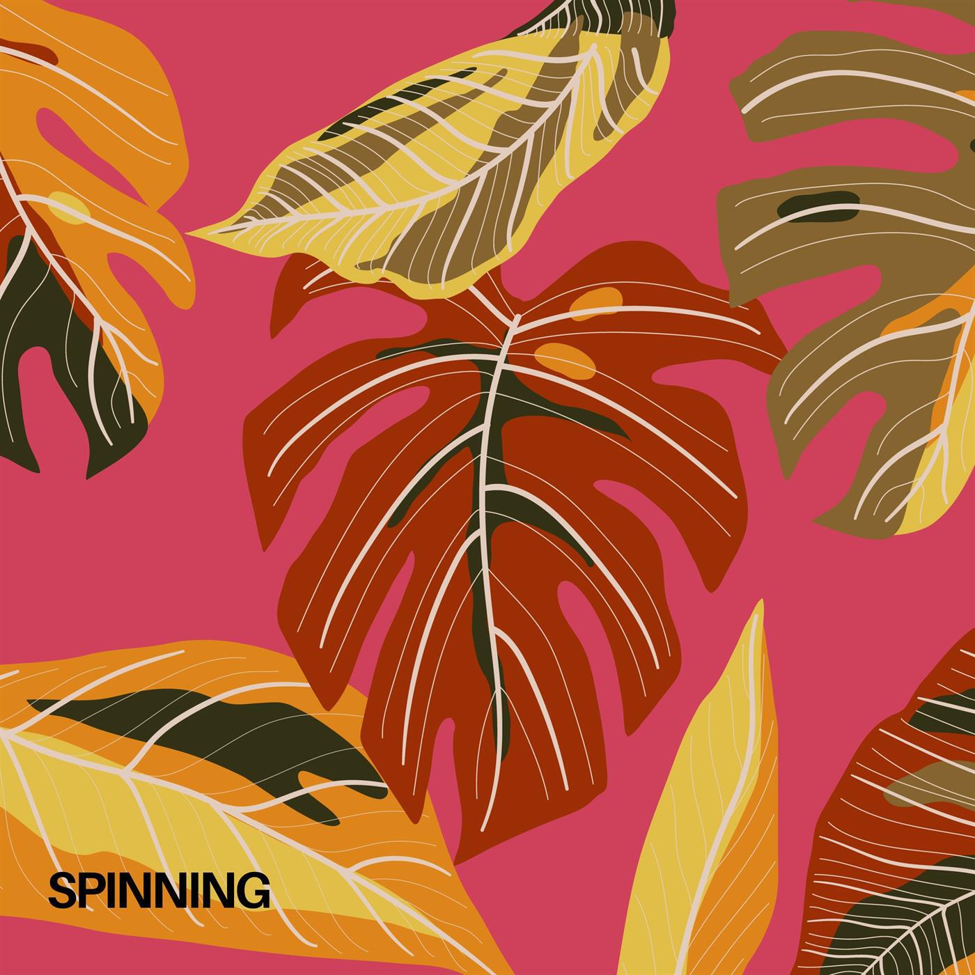 Релиз spinning