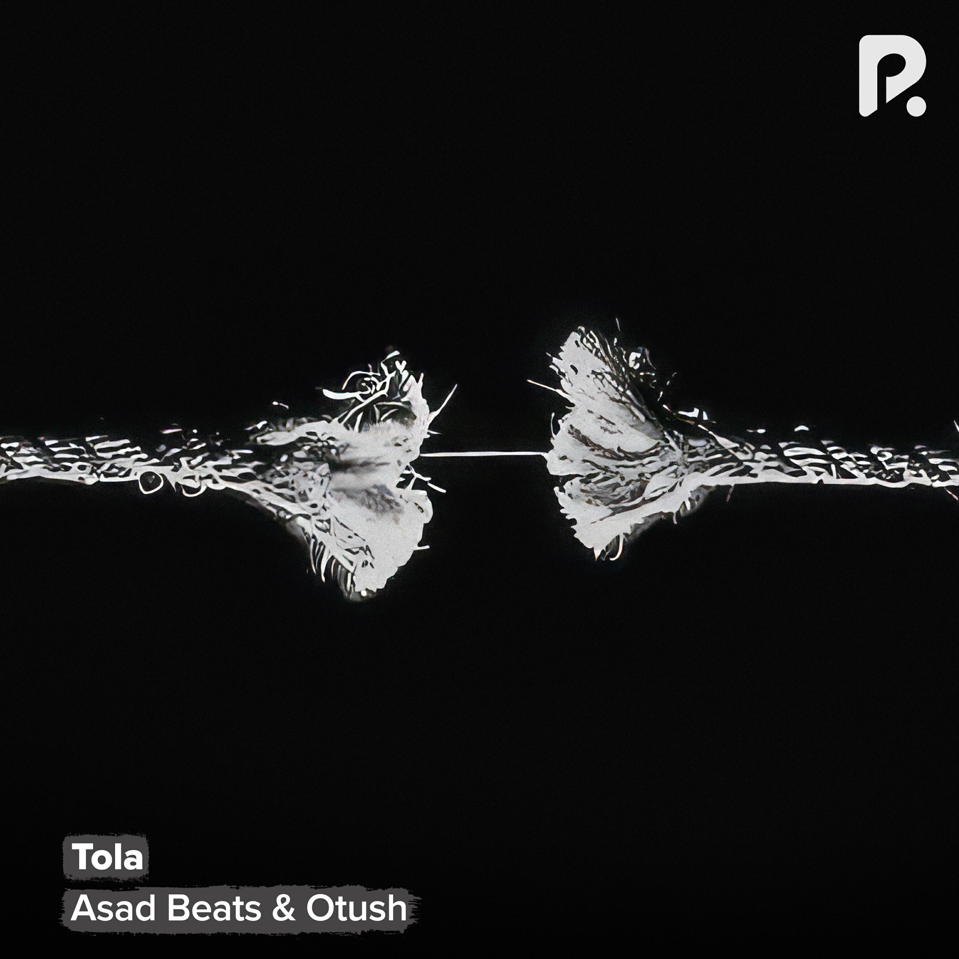 Релиз Tola