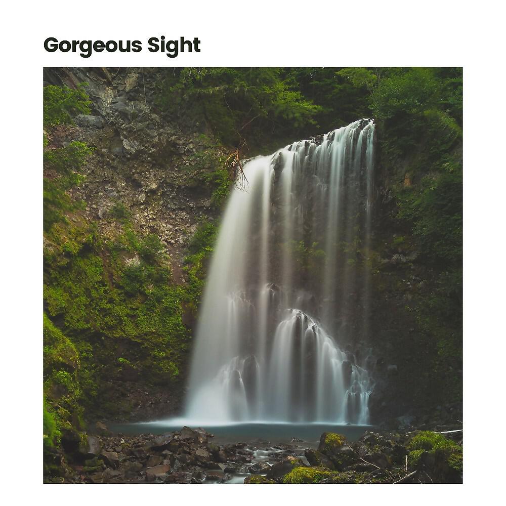 Релиз Gorgeous Sight