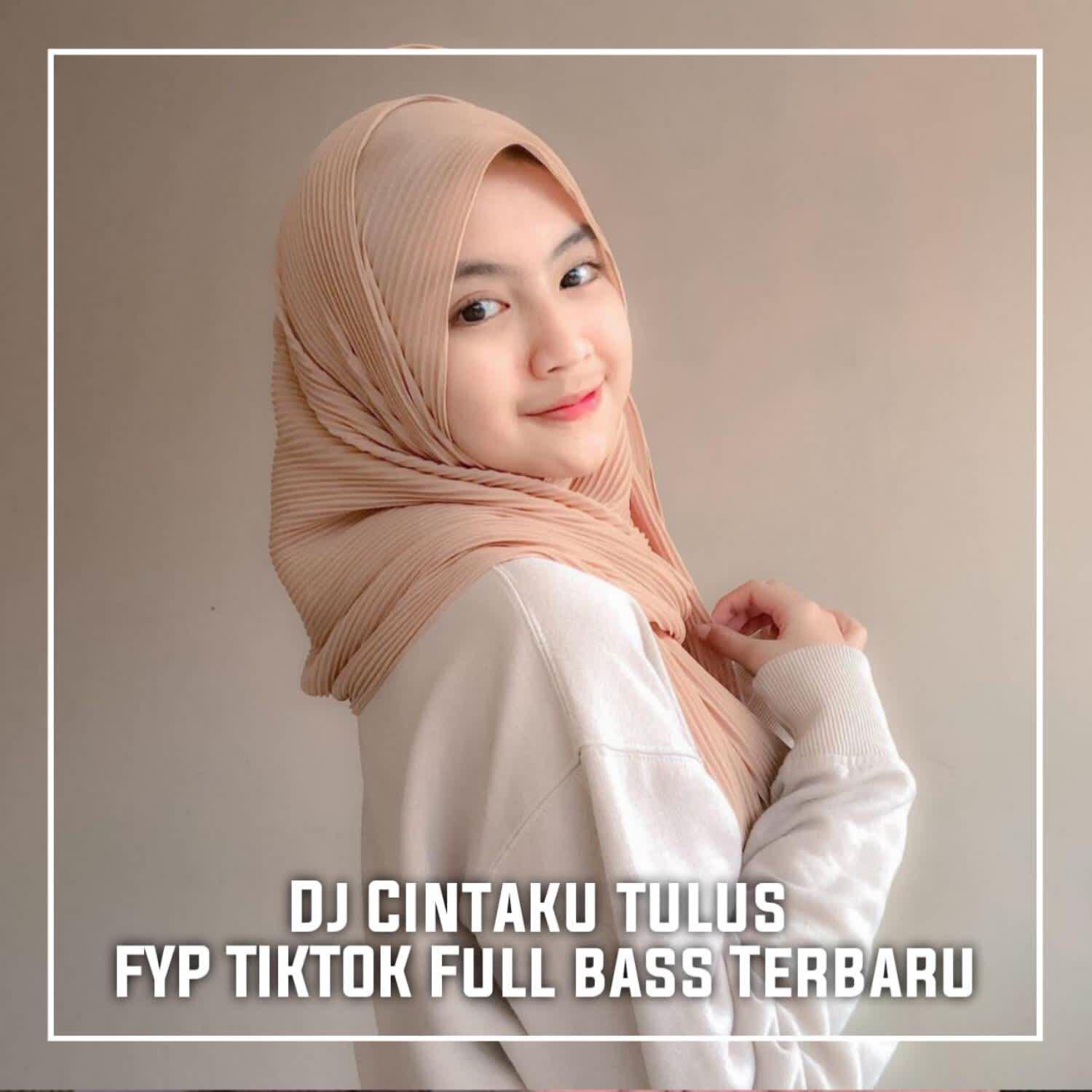 Релиз DJ Cintaku Tulus - Inst