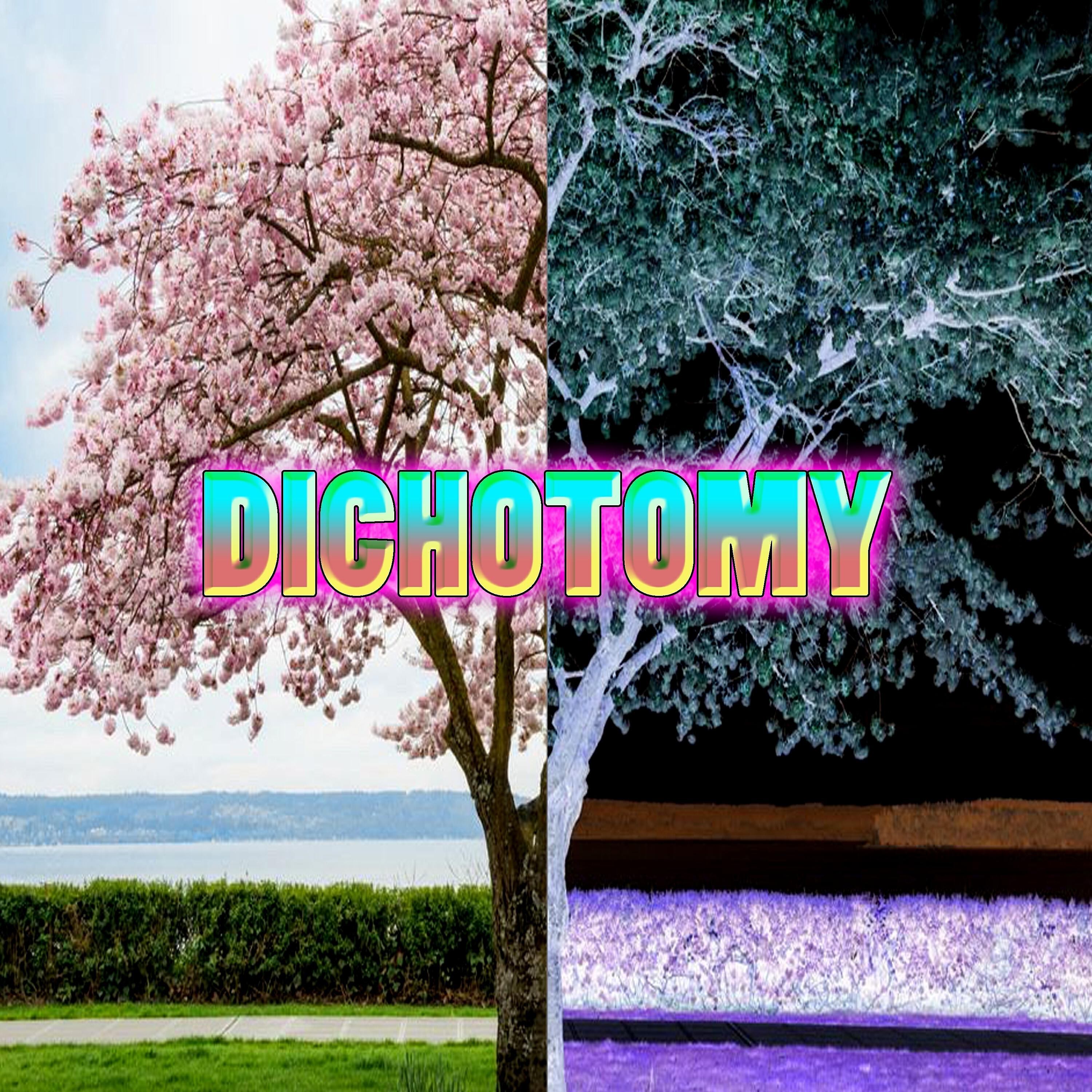 Релиз Dichotomy