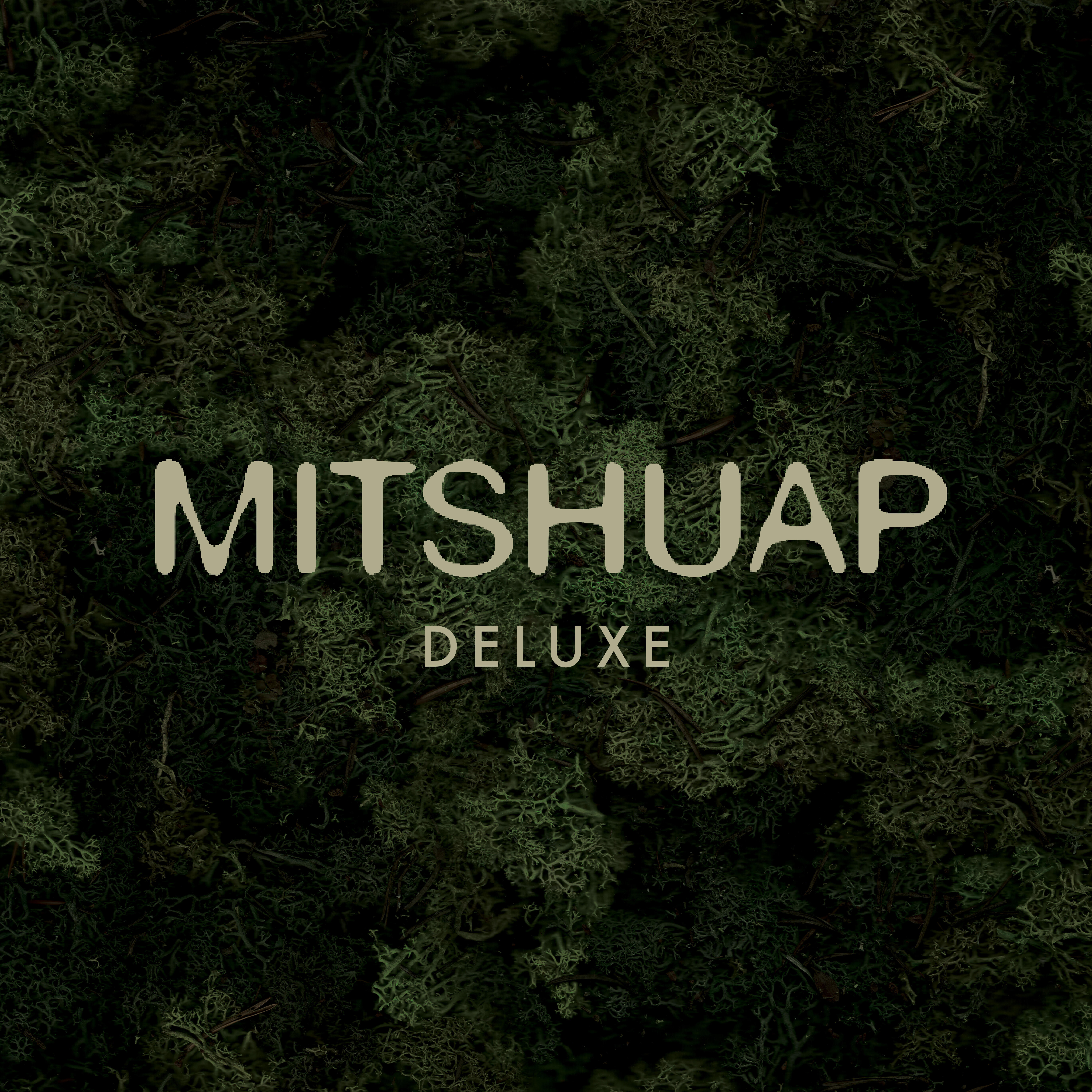 Релиз Mitshuap