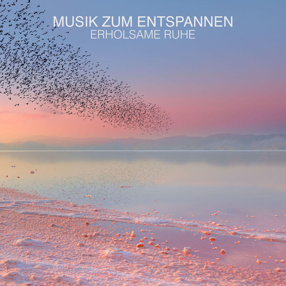 Релиз Musik Zum Entspannen