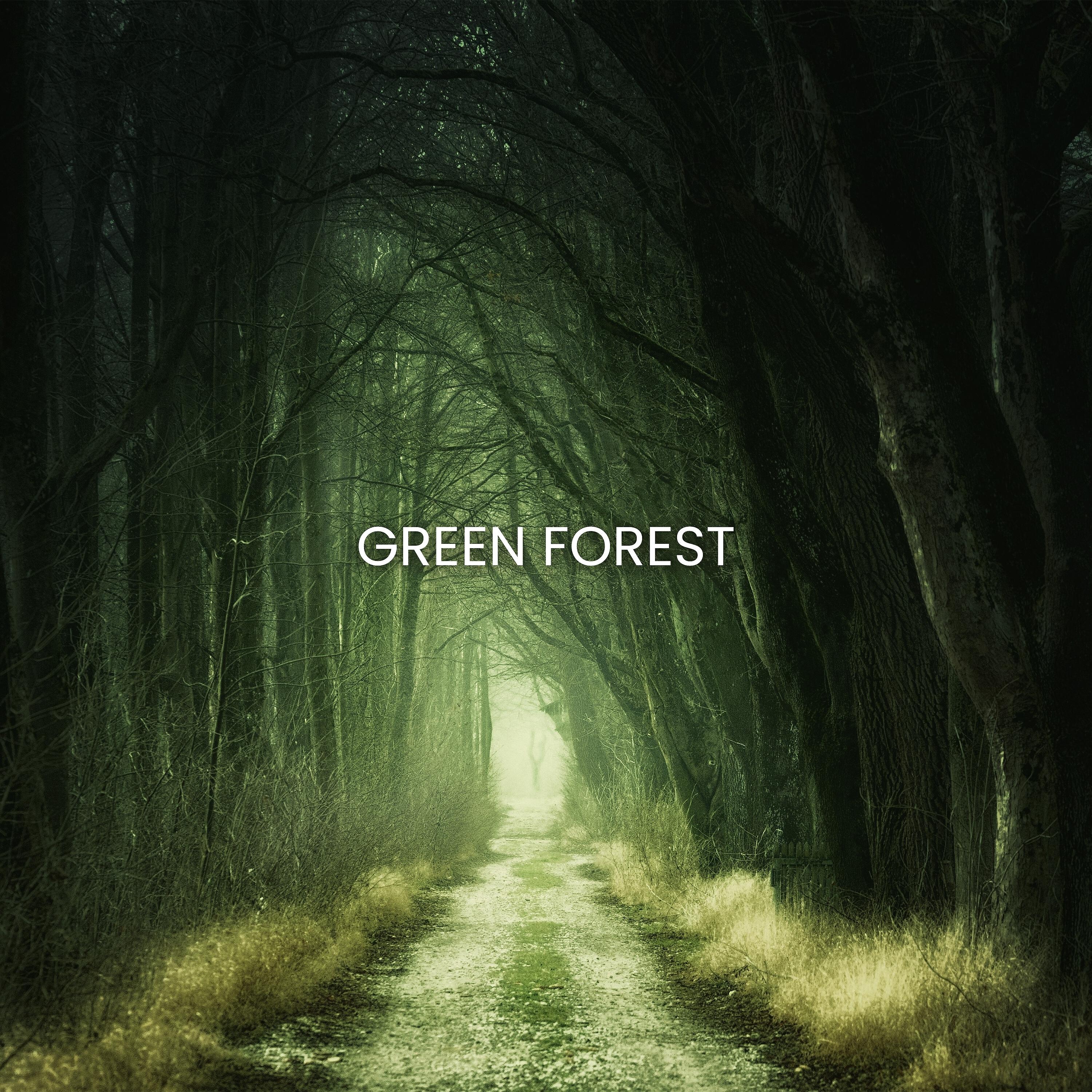 Релиз Green Forest