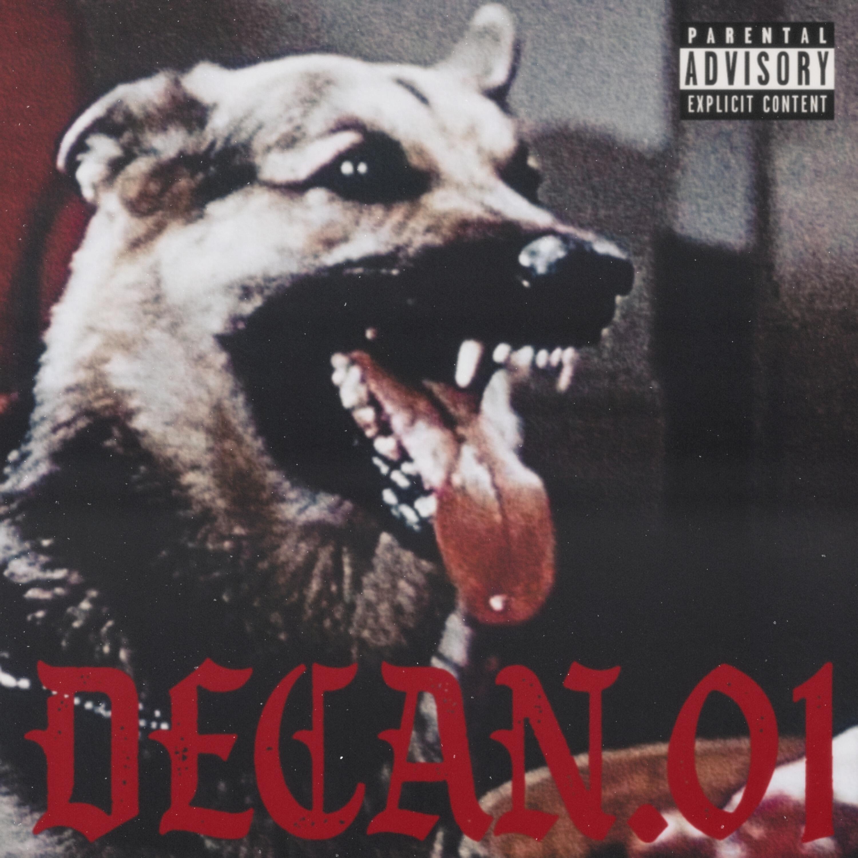 Релиз Decan.01