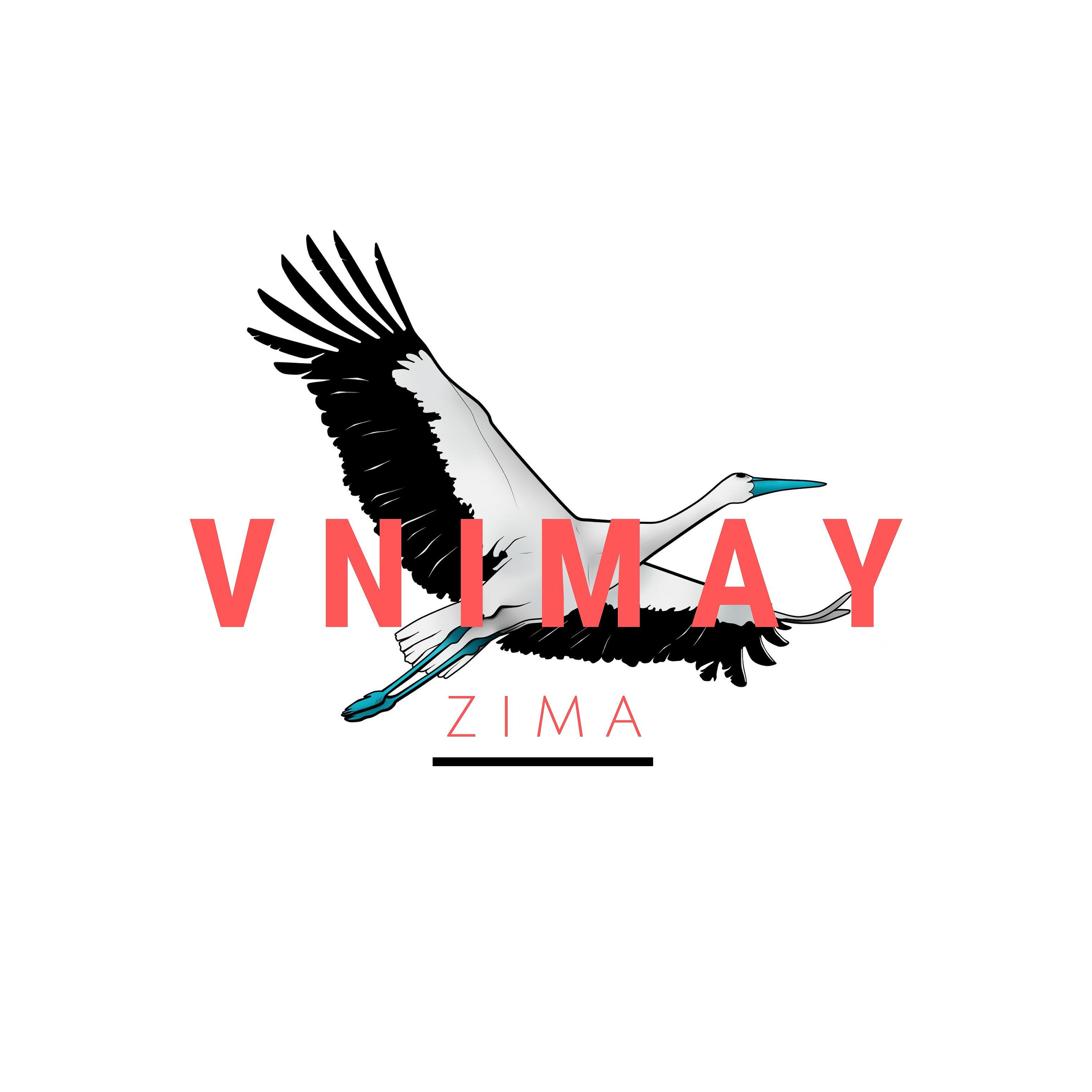Релиз Zima
