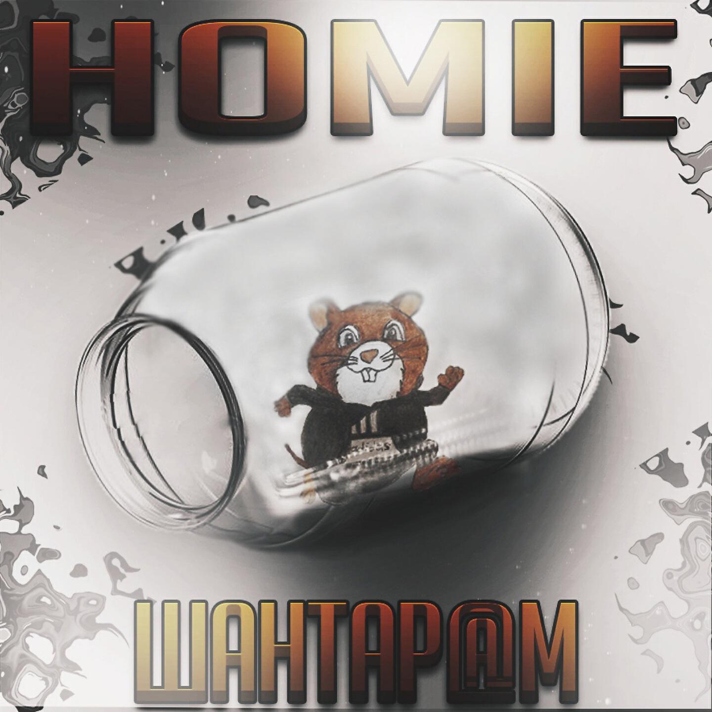 Релиз Homie