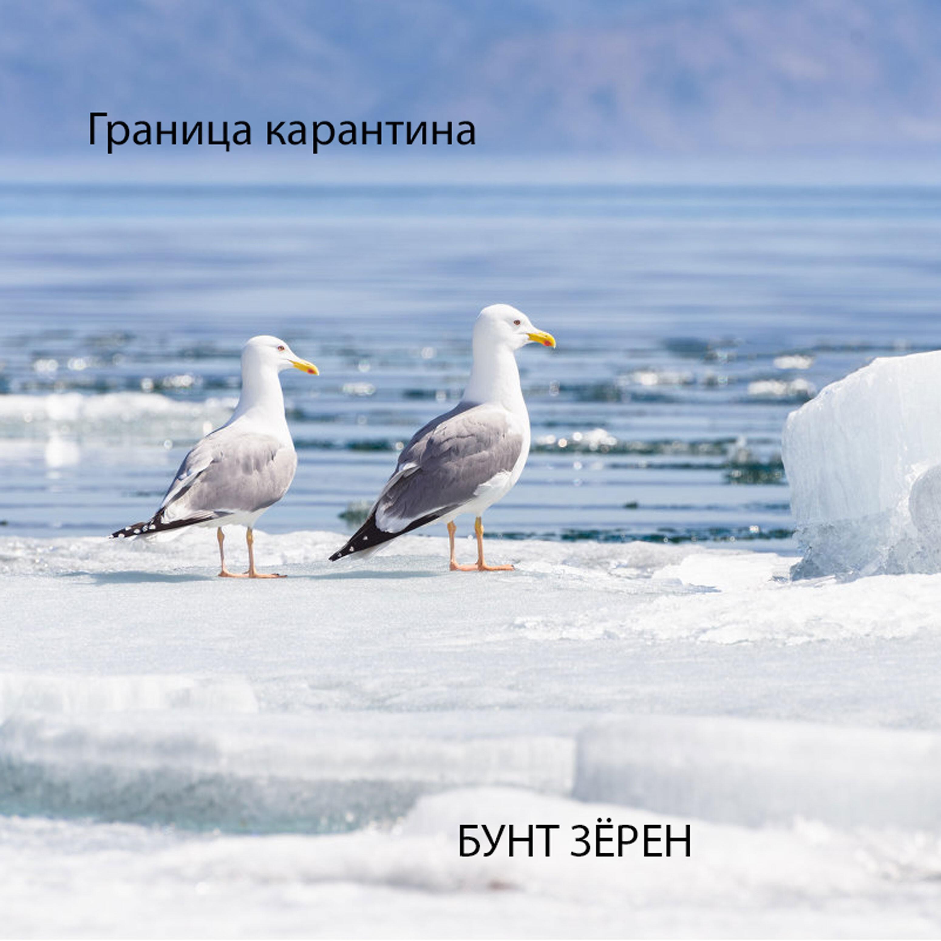 Релиз Граница карантина