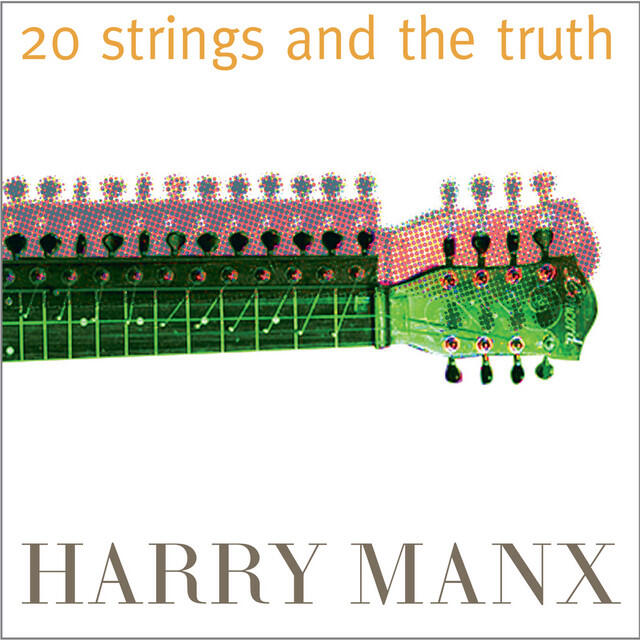 Постер альбома 20 Strings and the Truth