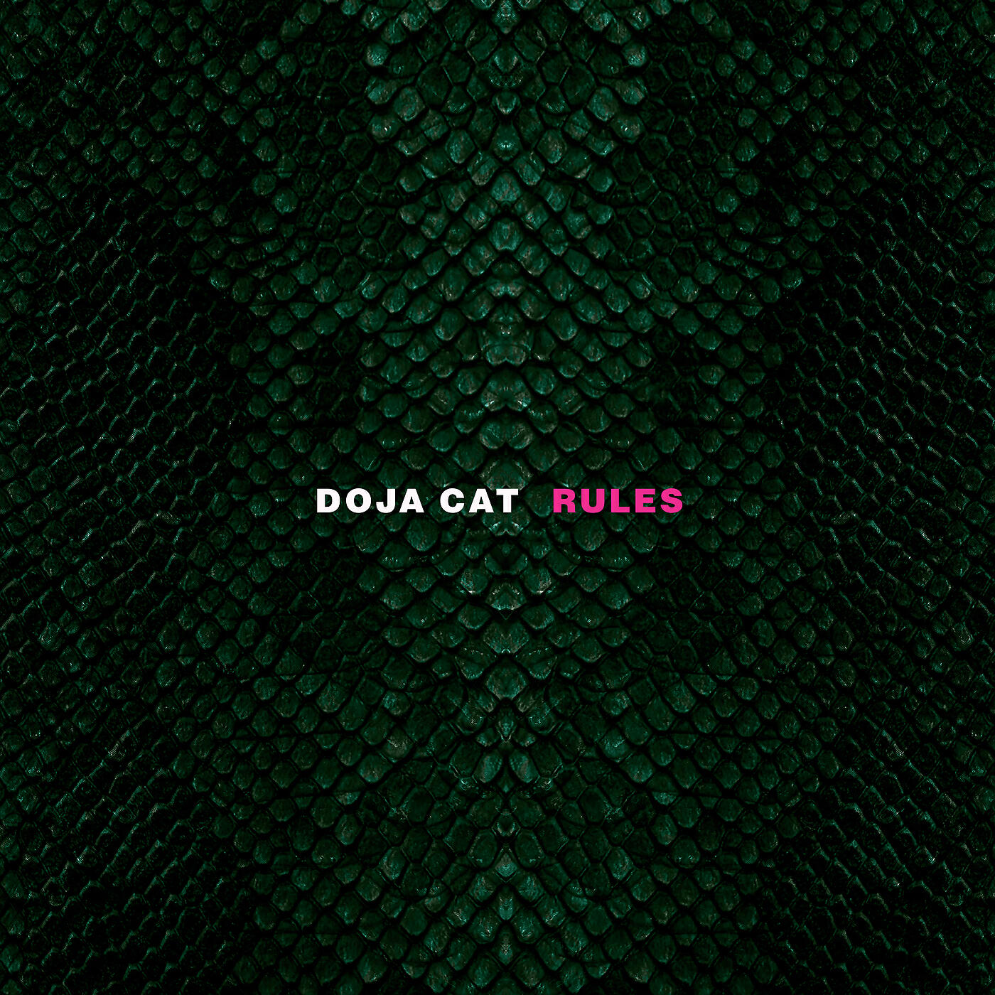 Постер альбома Rules