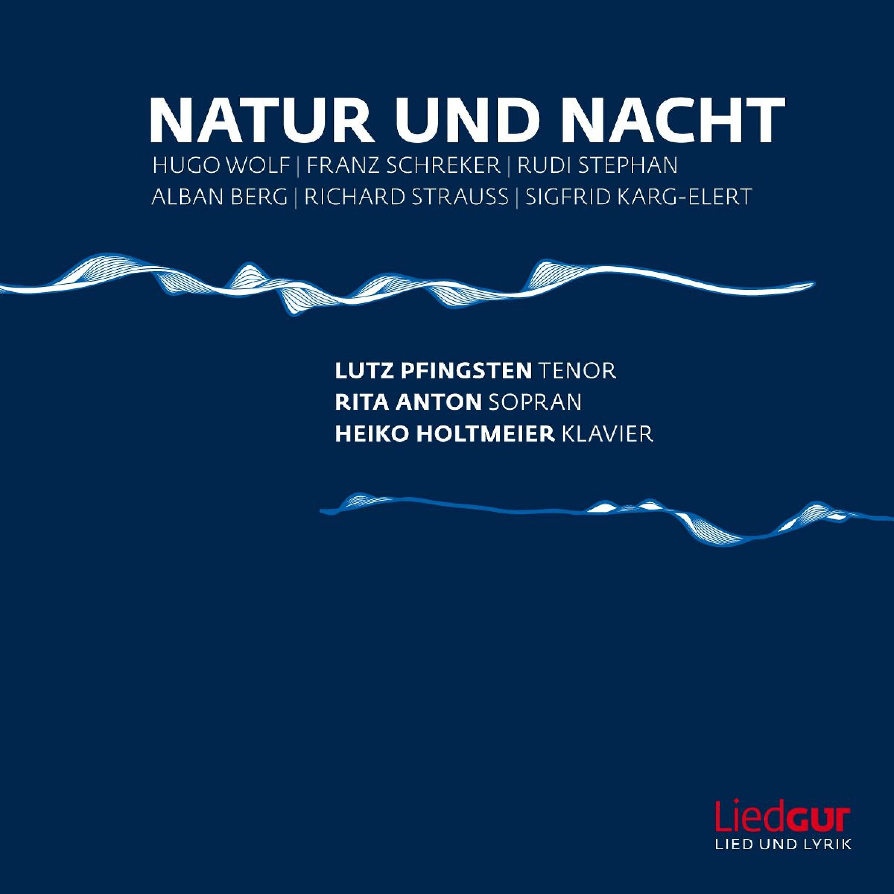 Lutz Pfingsten, Heiko Holtmeier - Nacht
