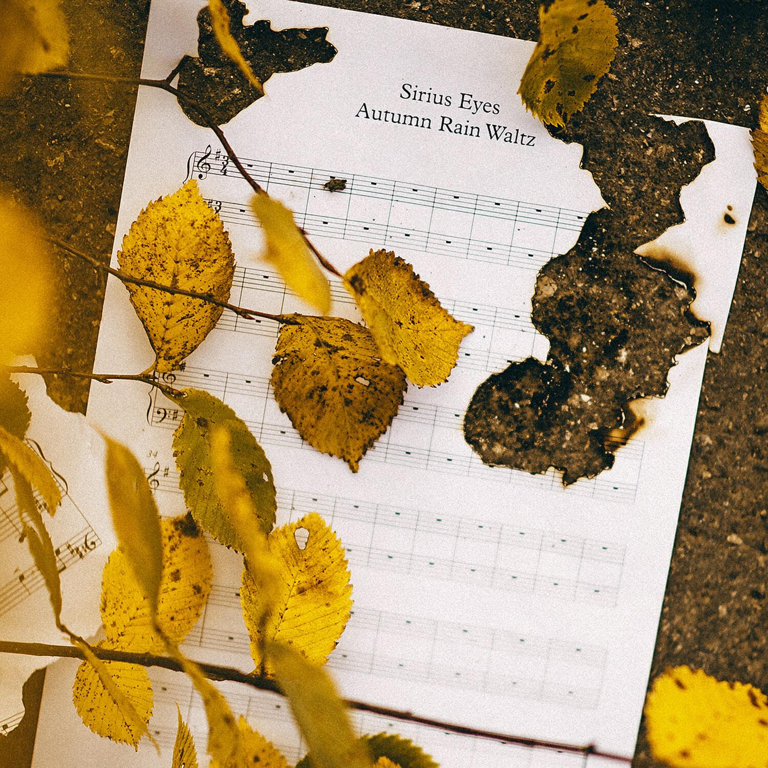Релиз Autumn Rain Waltz