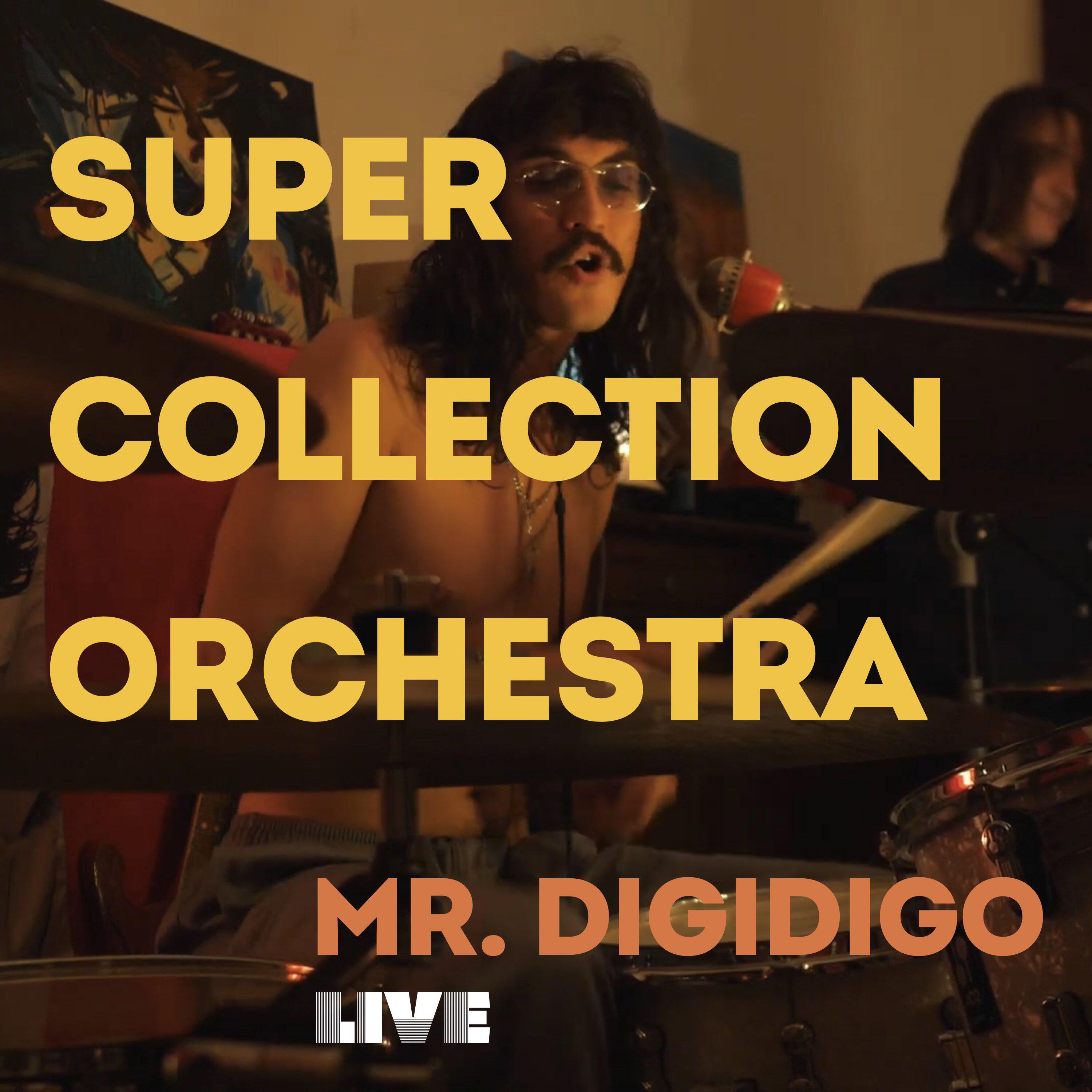 Релиз Mr. Digidigo (Live)