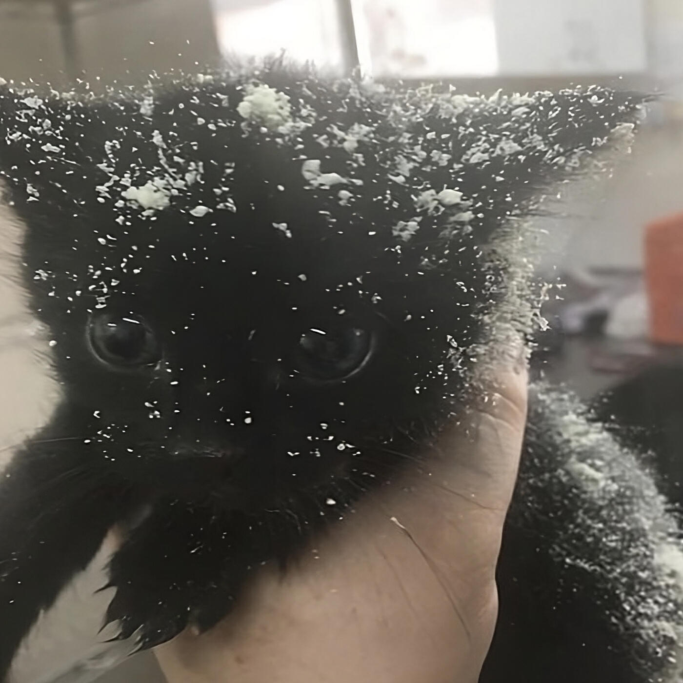 Релиз #PropMoney