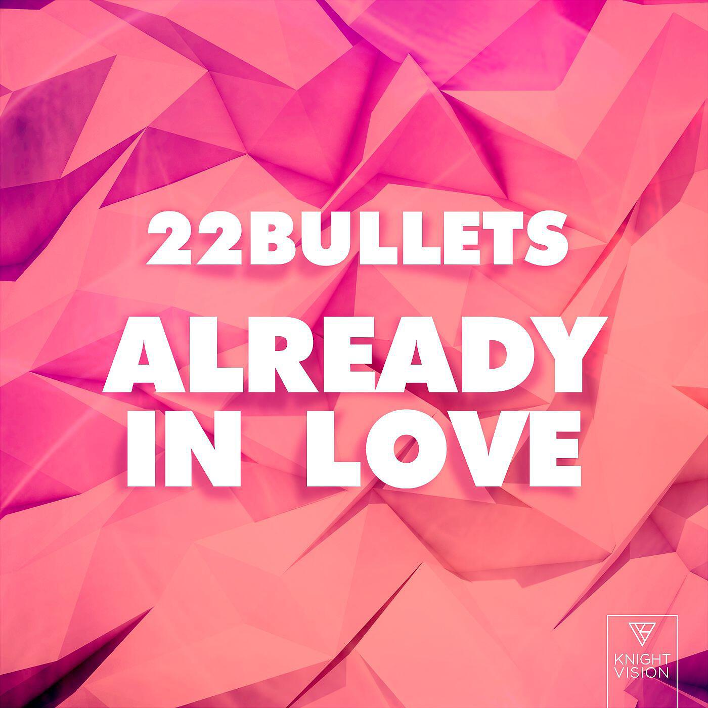 22 Bullets