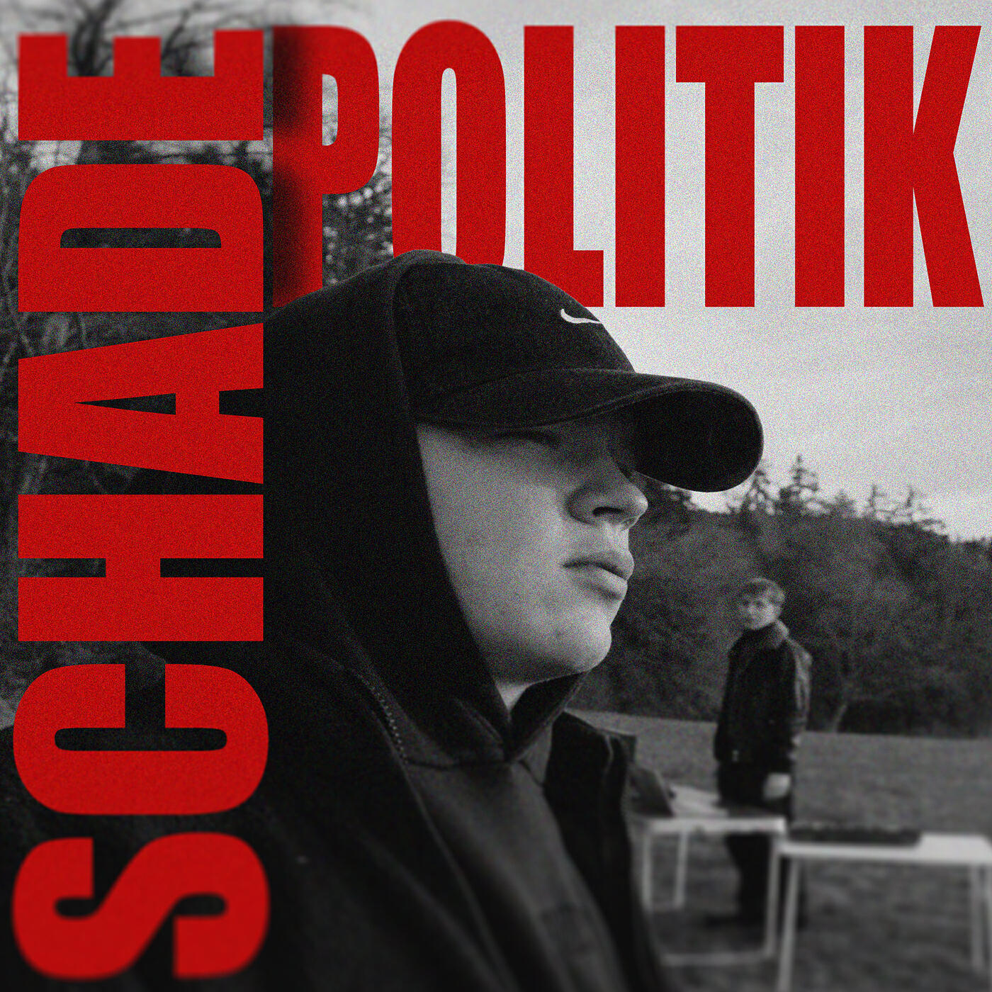 Релиз Schadepolitik