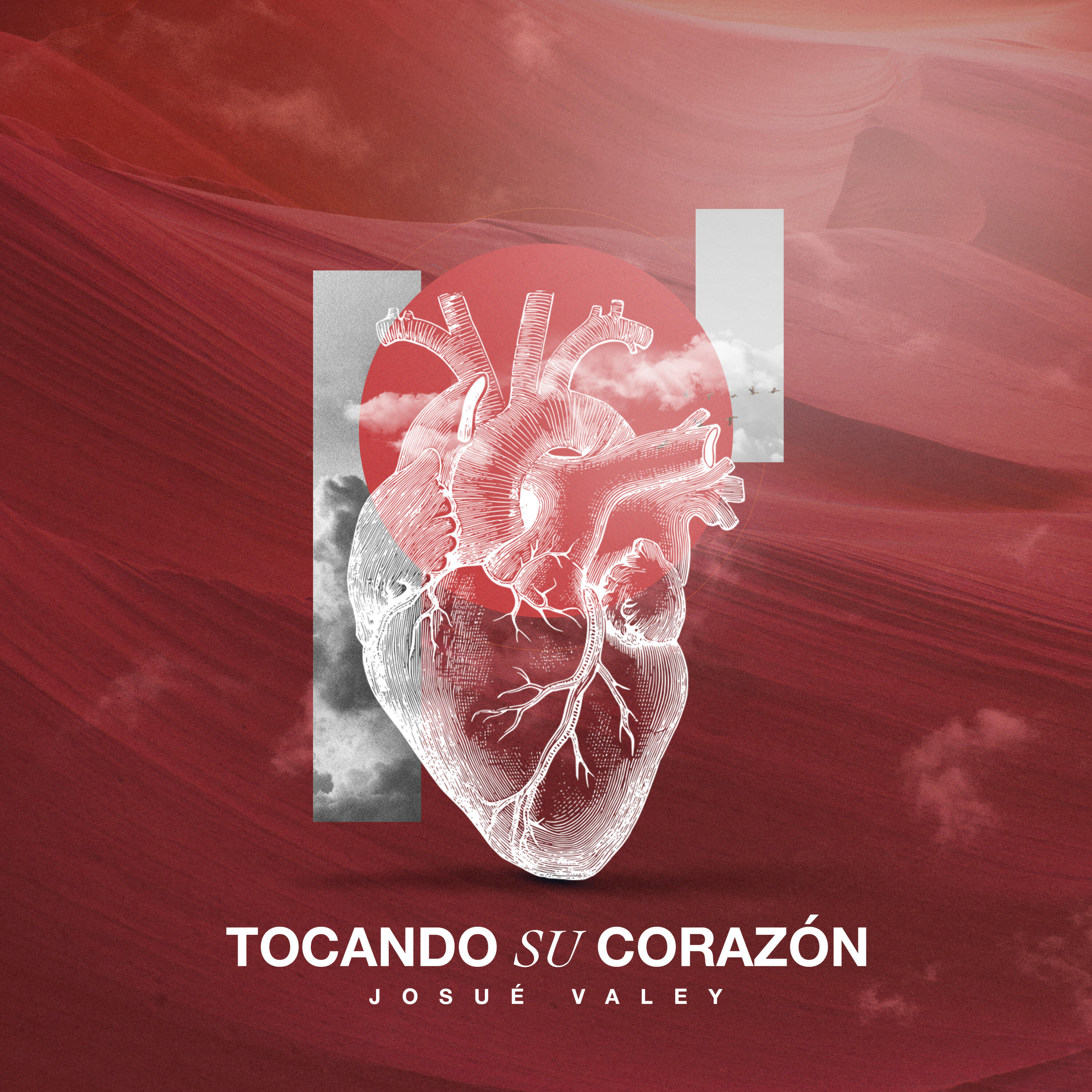 Релиз Tocando Su Corazón