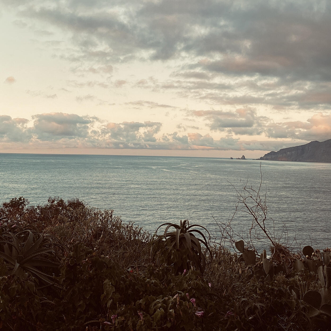 Álvaro Del Valle все песни в mp3