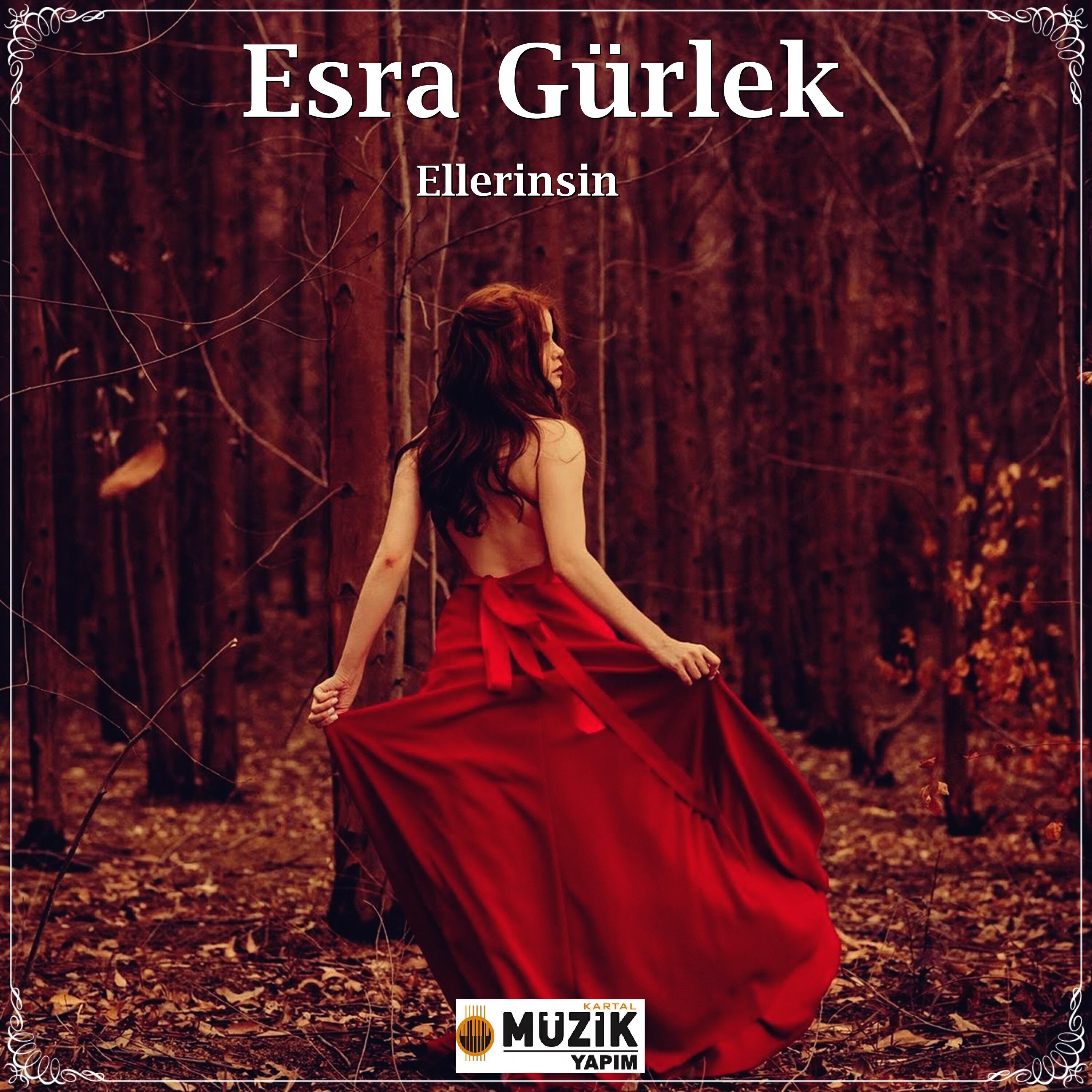 Релиз Ellerinsin