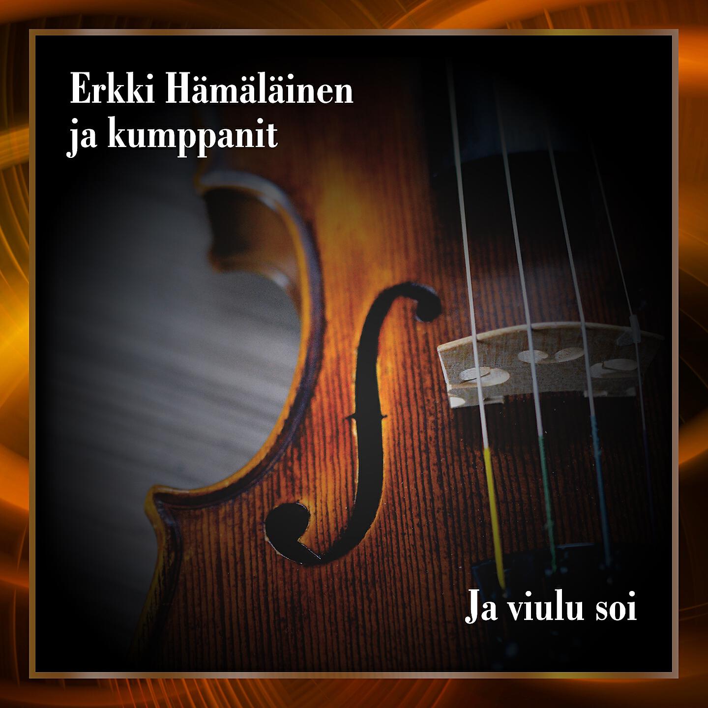 Erkki Hämäläinen ja kumppanit