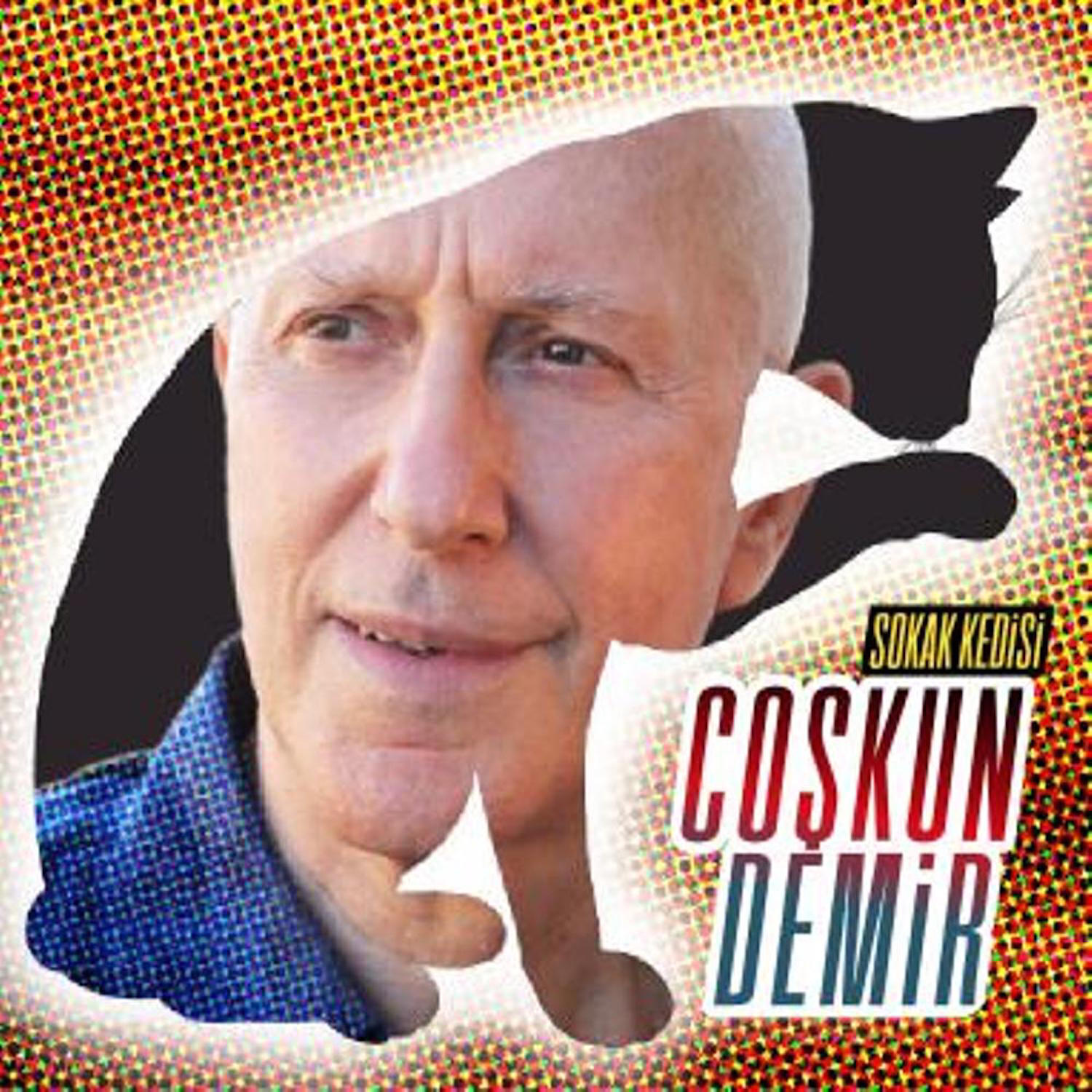 Релиз Sokak Kedisi