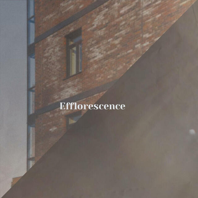 Релиз Efflorescence