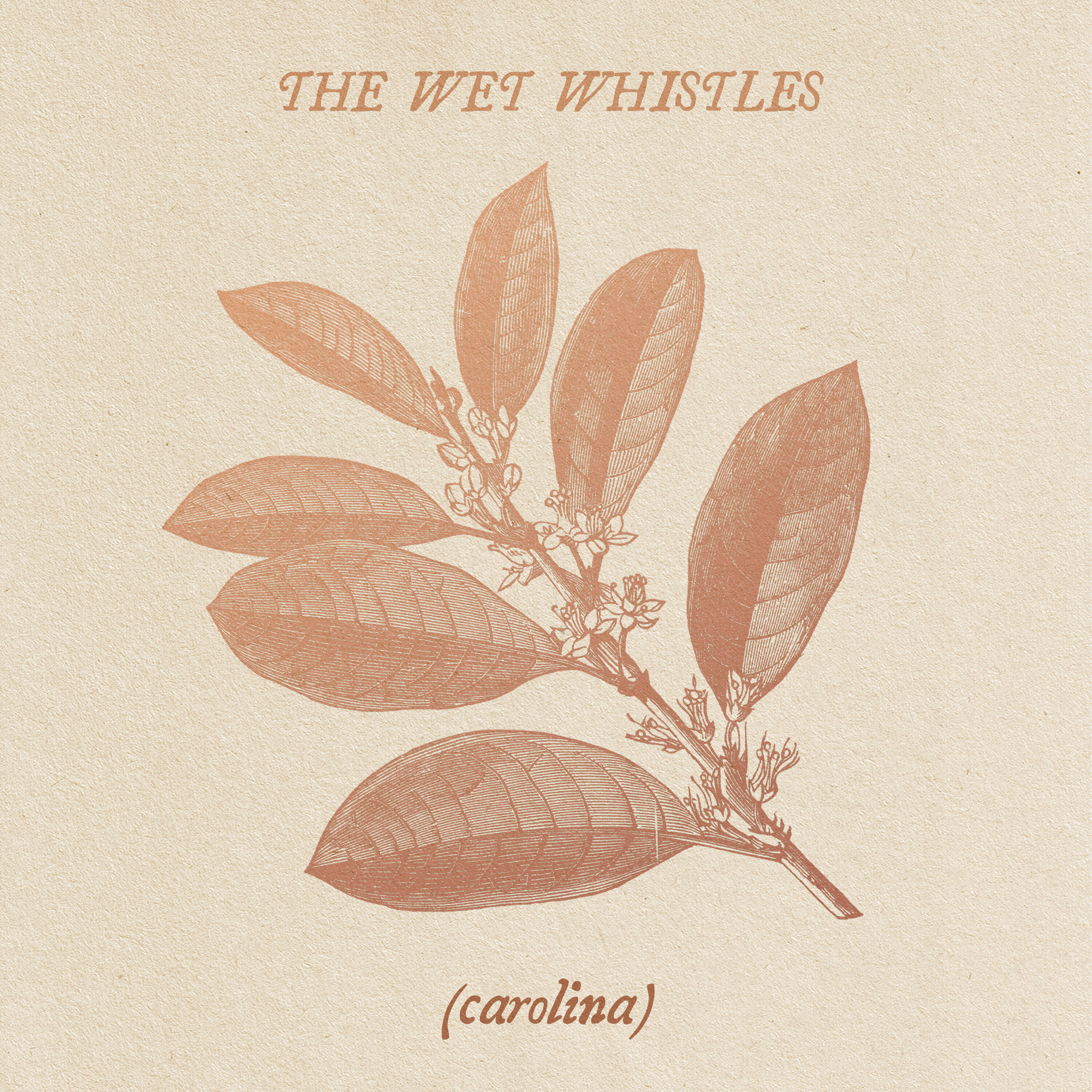 Релиз Carolina