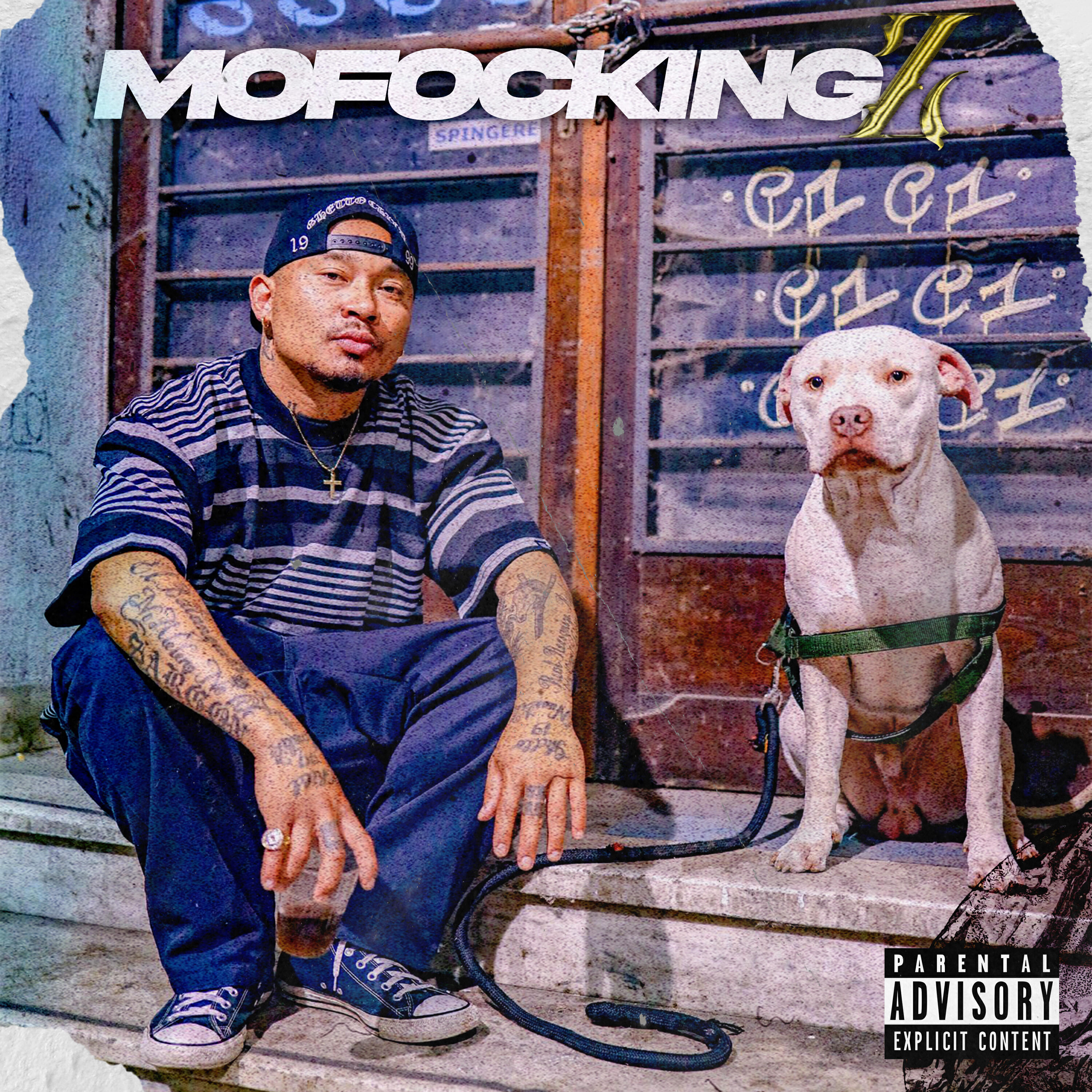 Релиз Mofocking Z